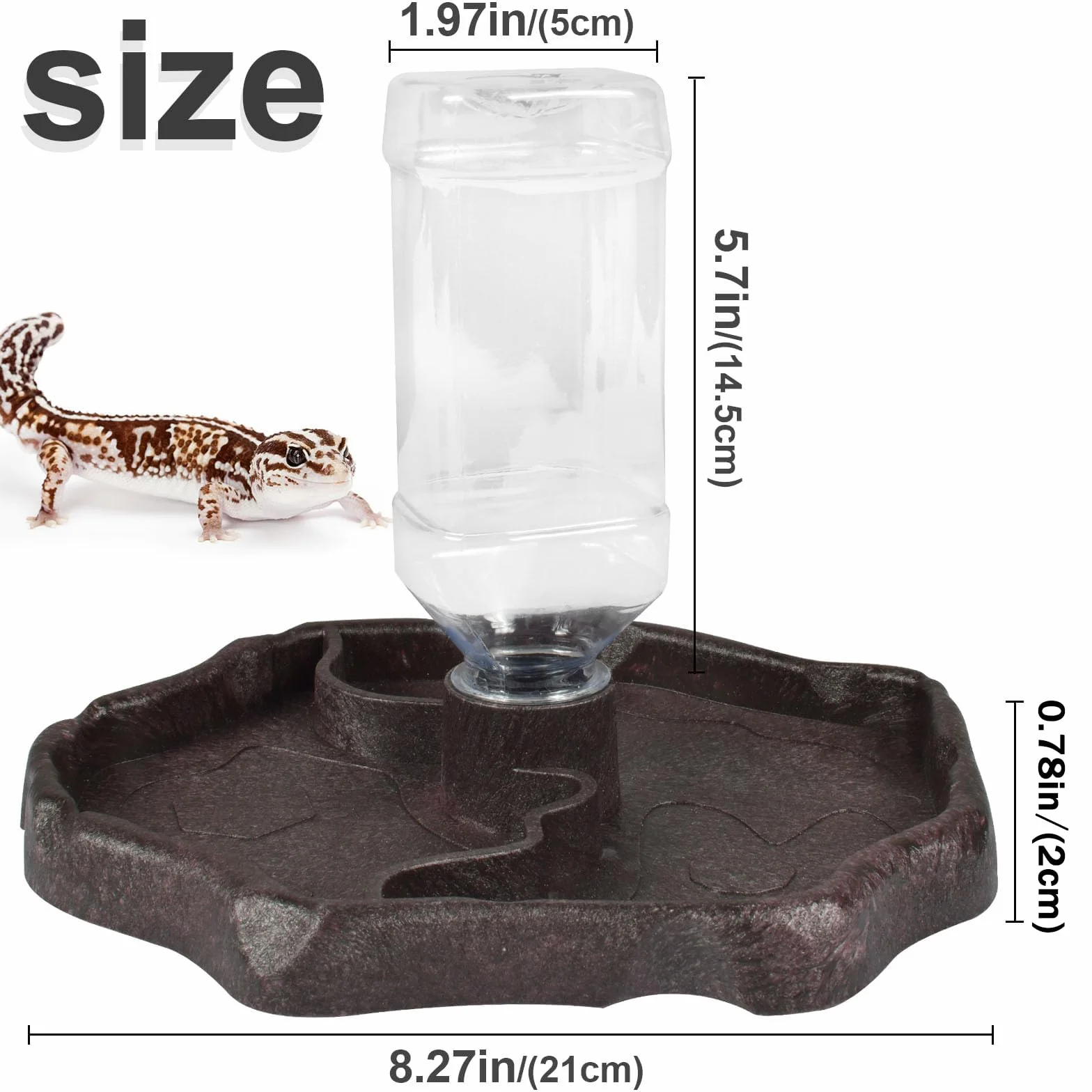Funmo Distributeur d'eau pour Reptile 2 en 1 Anti Débordement Plastique Brun