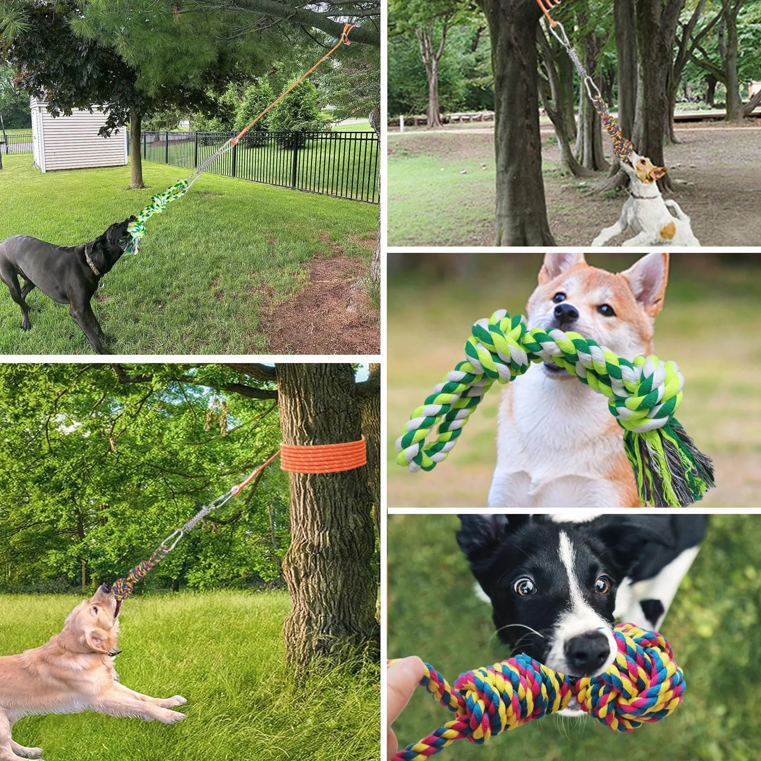 Jouet à Mâcher Chien élastique Indestructible 100% Coton Tir à la Corde