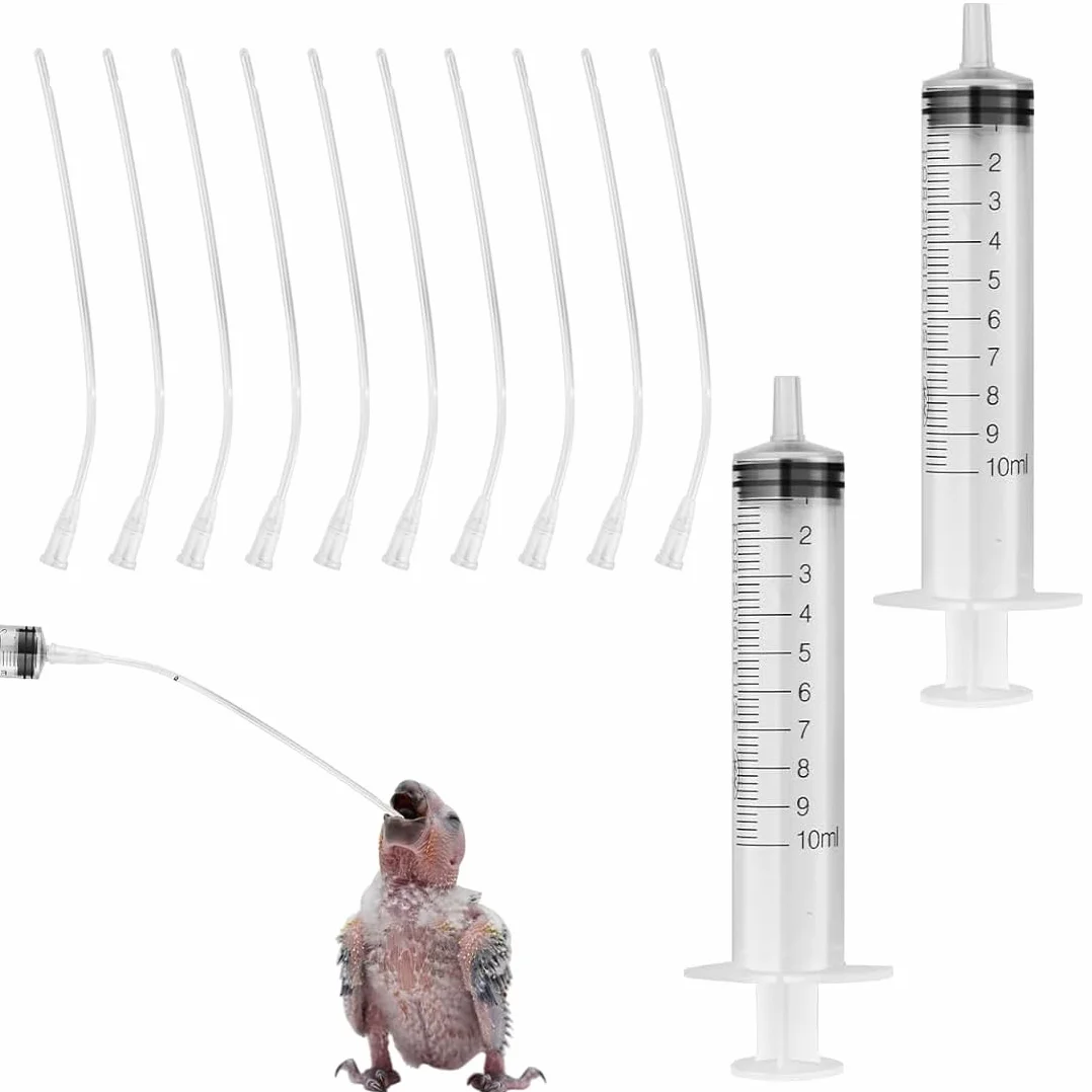 10 Pièces Tubes d'Alimentation pour Oisillons avec 2 Seringues 10 ml, Outil de Nourrissage pour Bébés Oiseaux et Perroquets