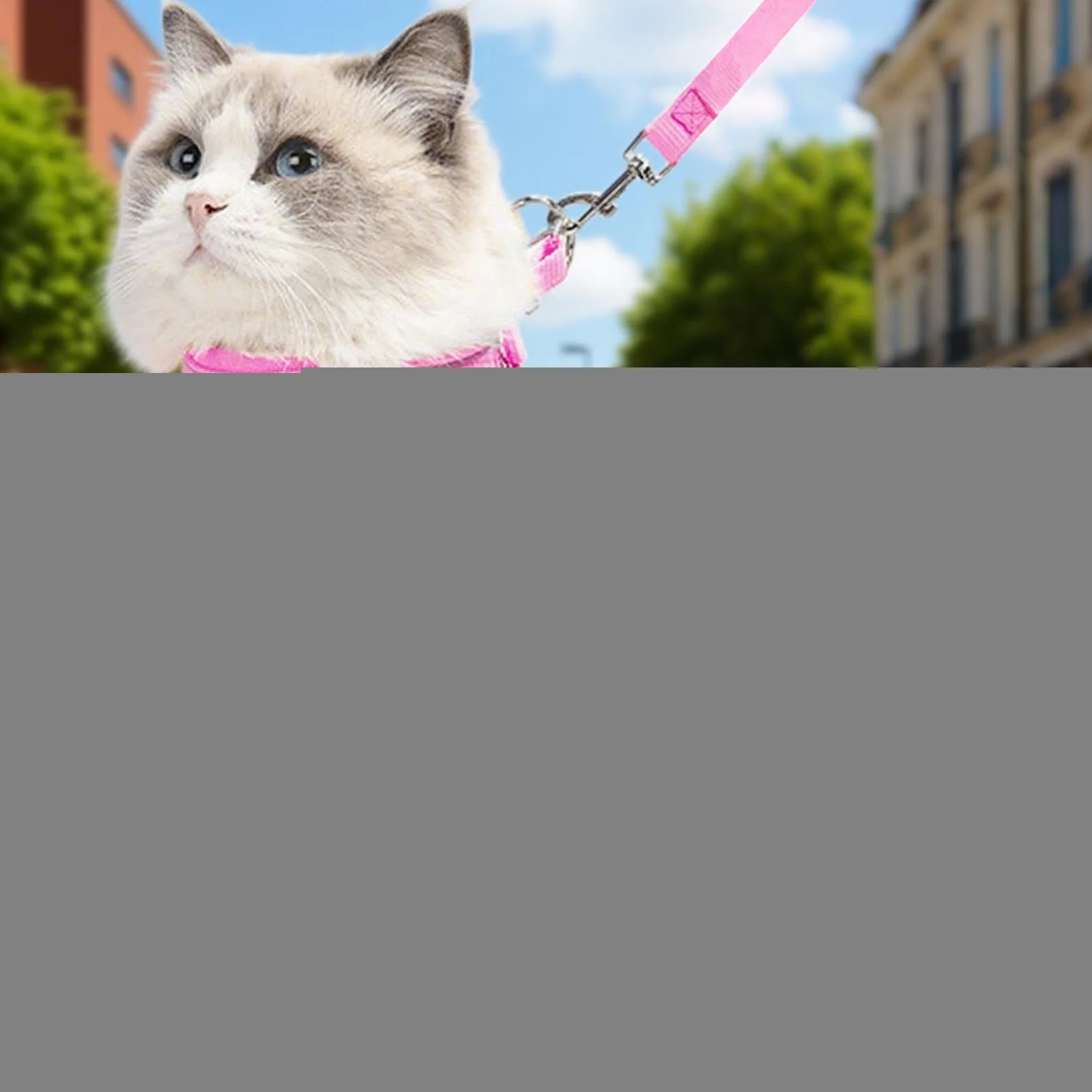 Harnais pour Chat Sécurisé Ajustable Taille S M L Randonnée Camping Extérieur