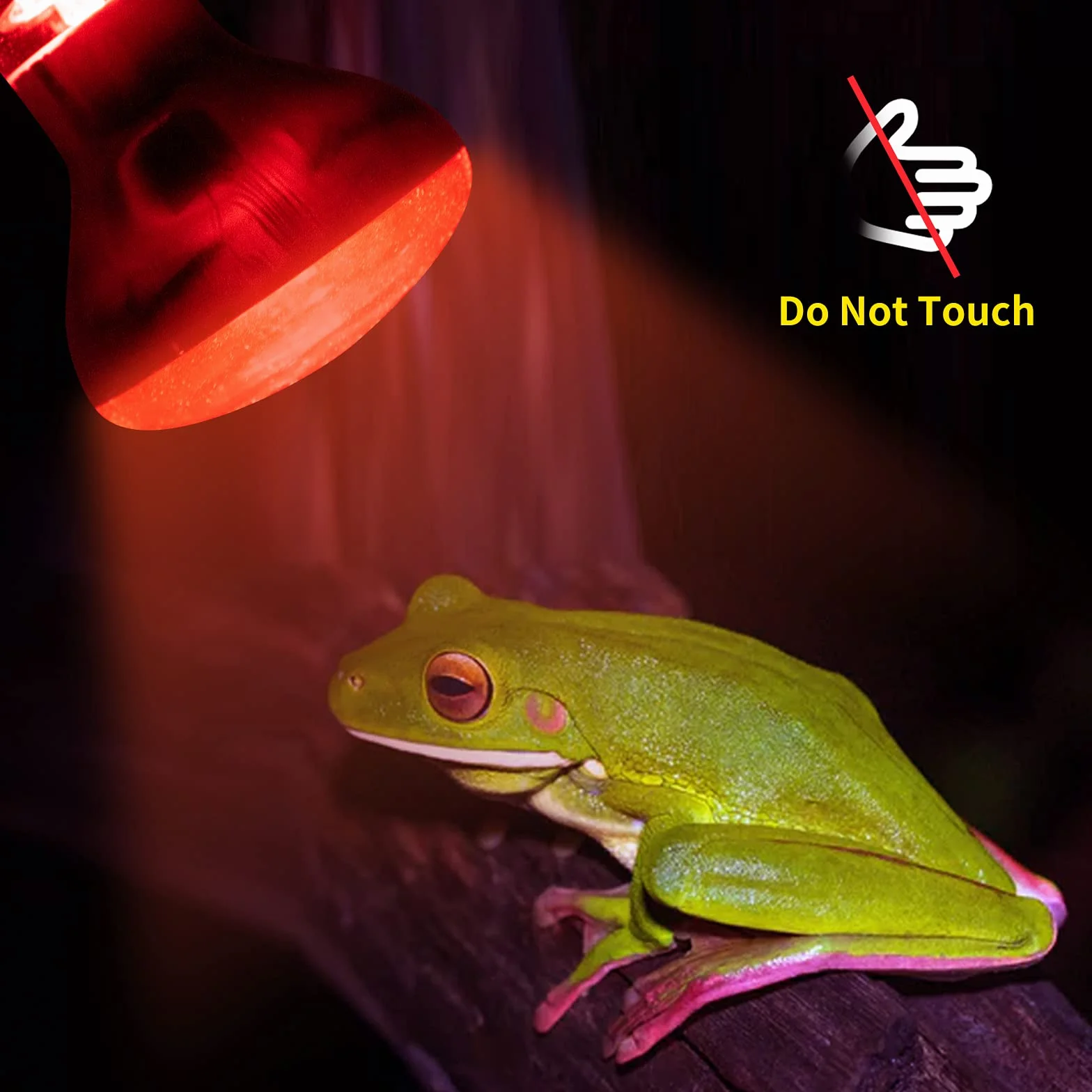 Bonlux 50W Lampe Chauffante Infrarouge Dimmable E27 R63 UVA+UVB AC 220-240V pour Reptiles (2Pcs)