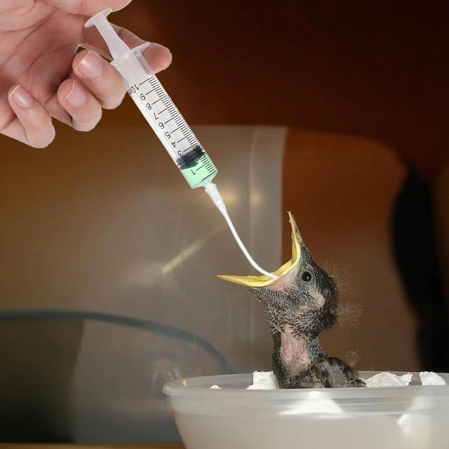 Kit d'alimentation pour Bébé Oiseau 10 ML Seringue avec Tubes pour Perroquets Petits Animaux
