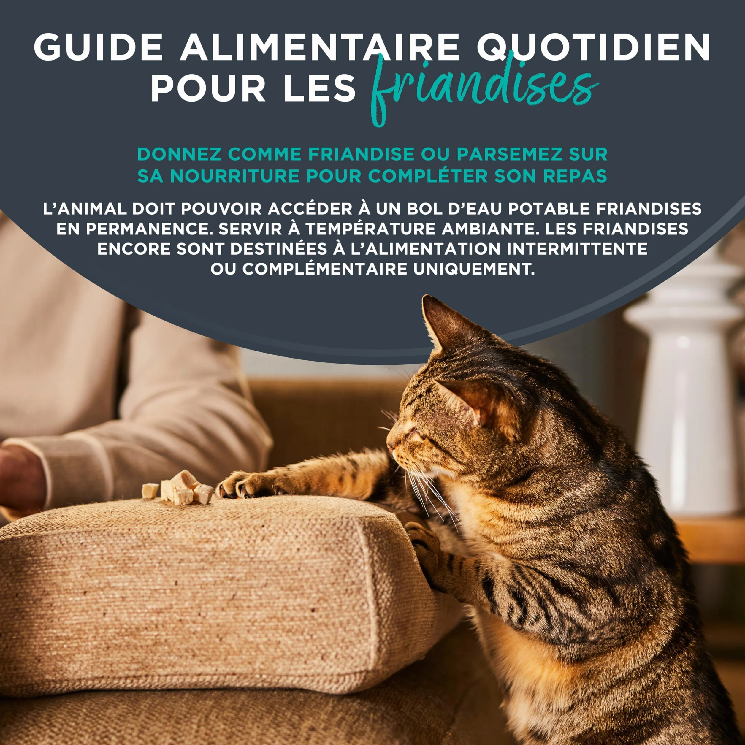Encore Friandises pour Chat au Filet de Thon 100% Naturelles Lyophilisées Snacks Sains sans Céréales Lot de 12 Pochettes 10 g
