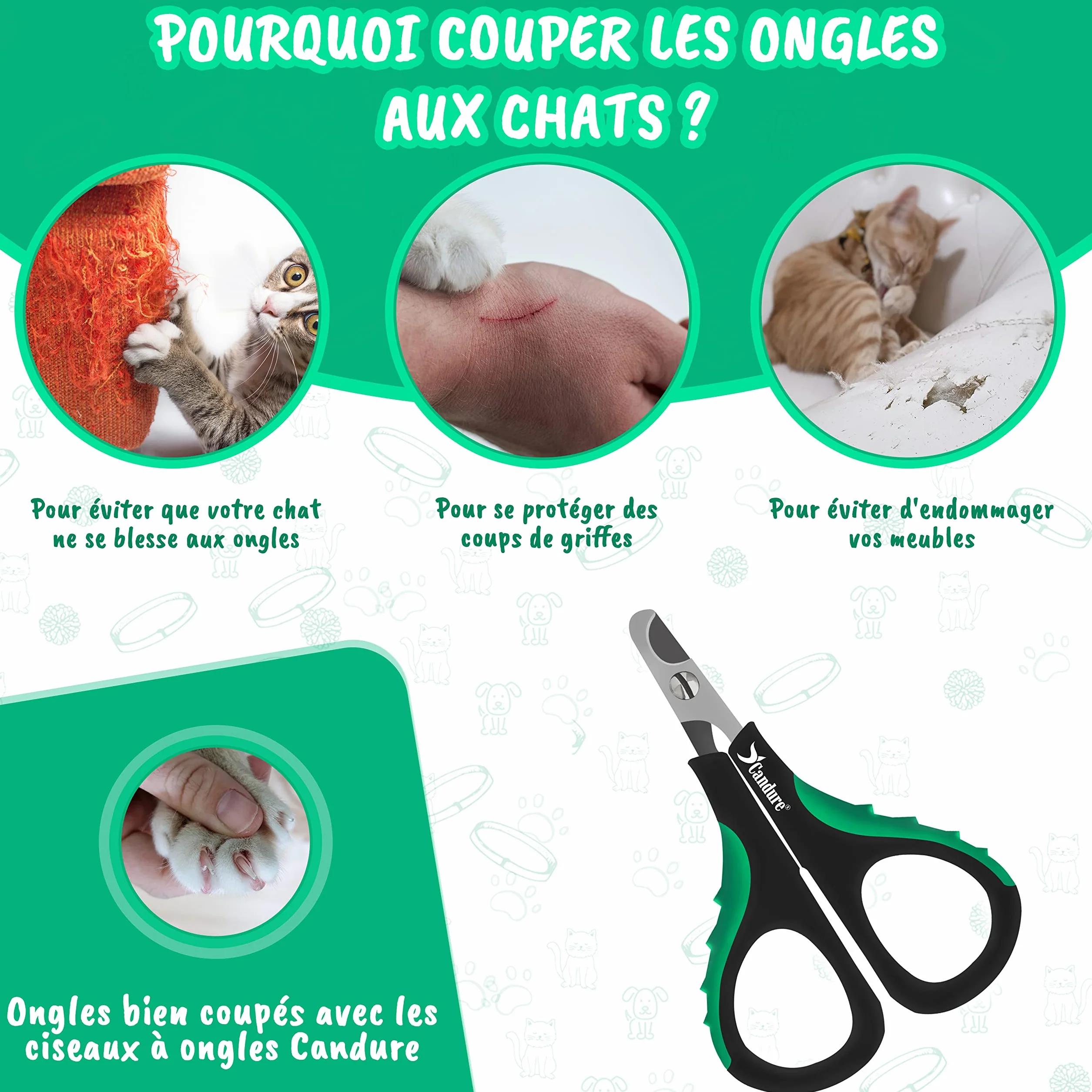 Candure Coupe-Ongles Ciseaux Professionnels pour Animaux de Compagnie Chats Chiens Lapins