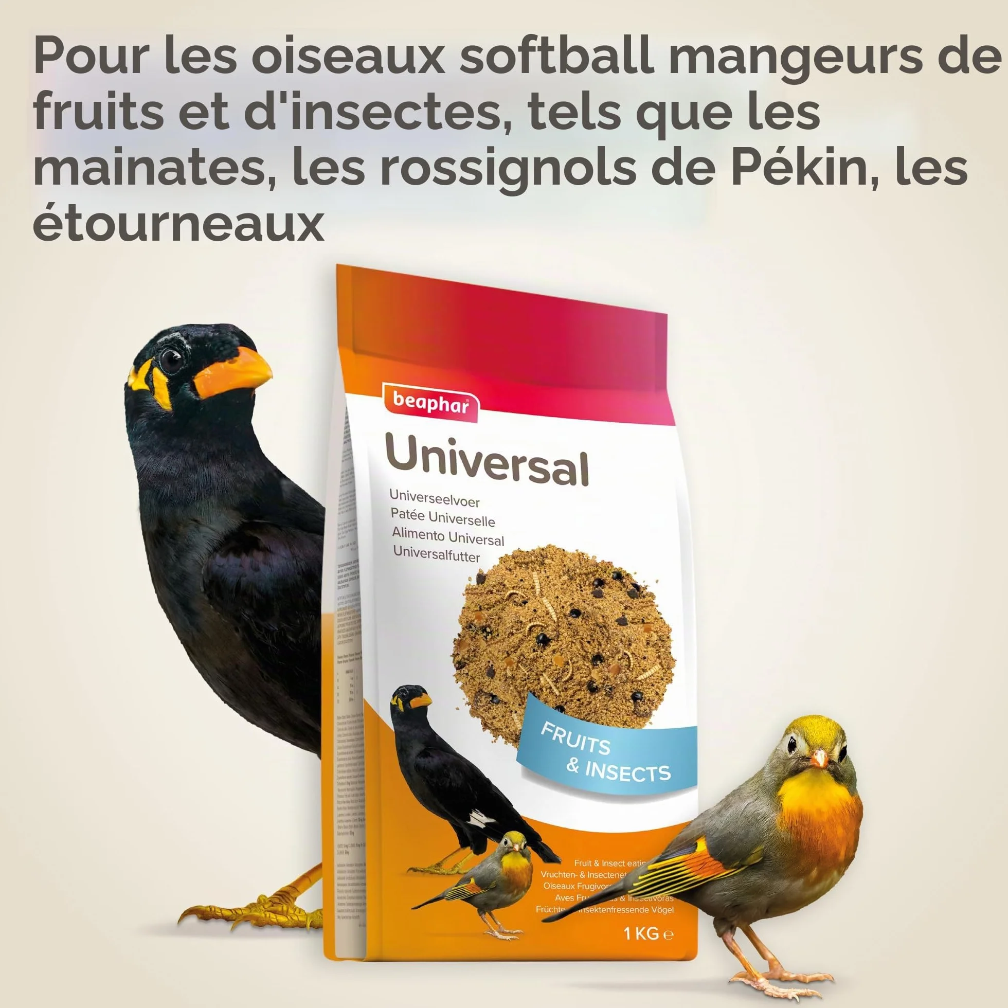 BEAPHAR Pâtée Universelle pour Oiseaux Insectivores & Frugivores 1kg