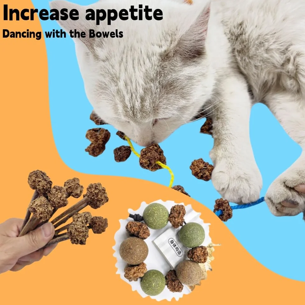 Matatabi Fruits Jouets pour Chat 20pcs