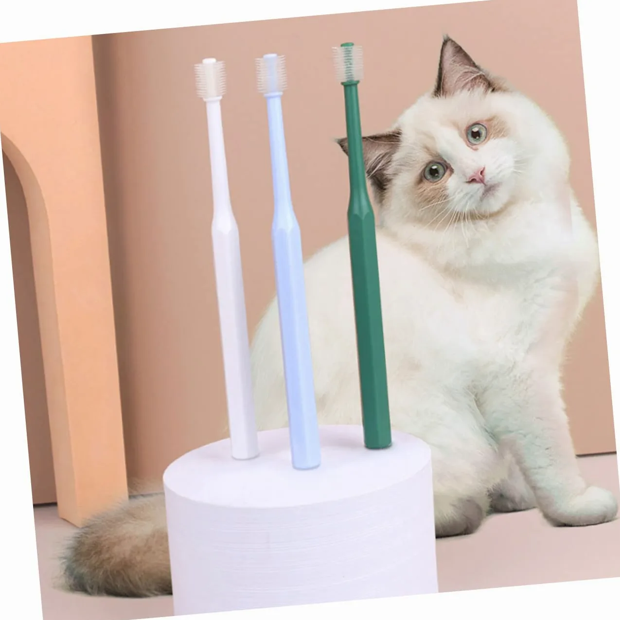 BESPORTBLE 3 Ensembles Brosse À Dents Nettoyeur De Dents De Chat Pour Dents D'animaux Brosse De Nettoyage Buccal Brosse Orale Pratique Pour Animaux De Compagnie Type 4 Pièces * 3