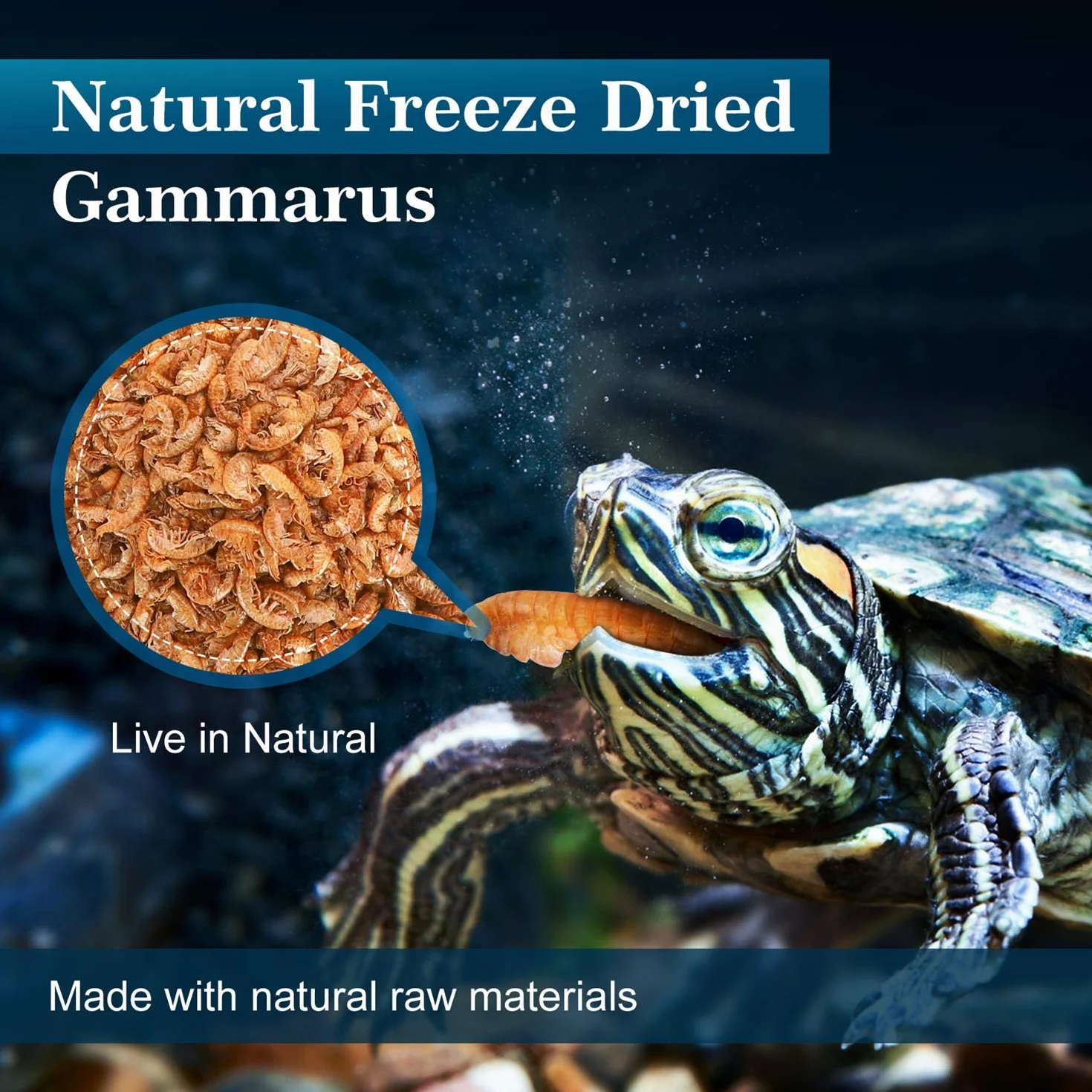 Nobleza Crevettes Tortue, Nourriture Tortue d'eau Crevettes Rivière Naturelles 80g 750ml