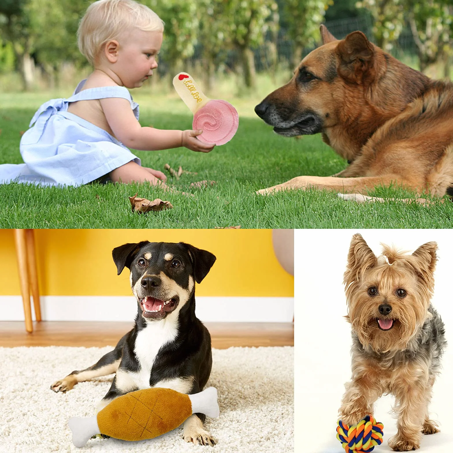 MAISITOO Ensemble Lot de 19 PCS Jouet à Mâcher Corde pour Chien Balle, Jouet Interactif pour Nettoyage de Dents Molaires