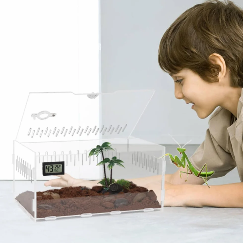 YUEHUA Boîte d'alimentation acrylique transparente 30x20x15 cm pour terrarium reptiles