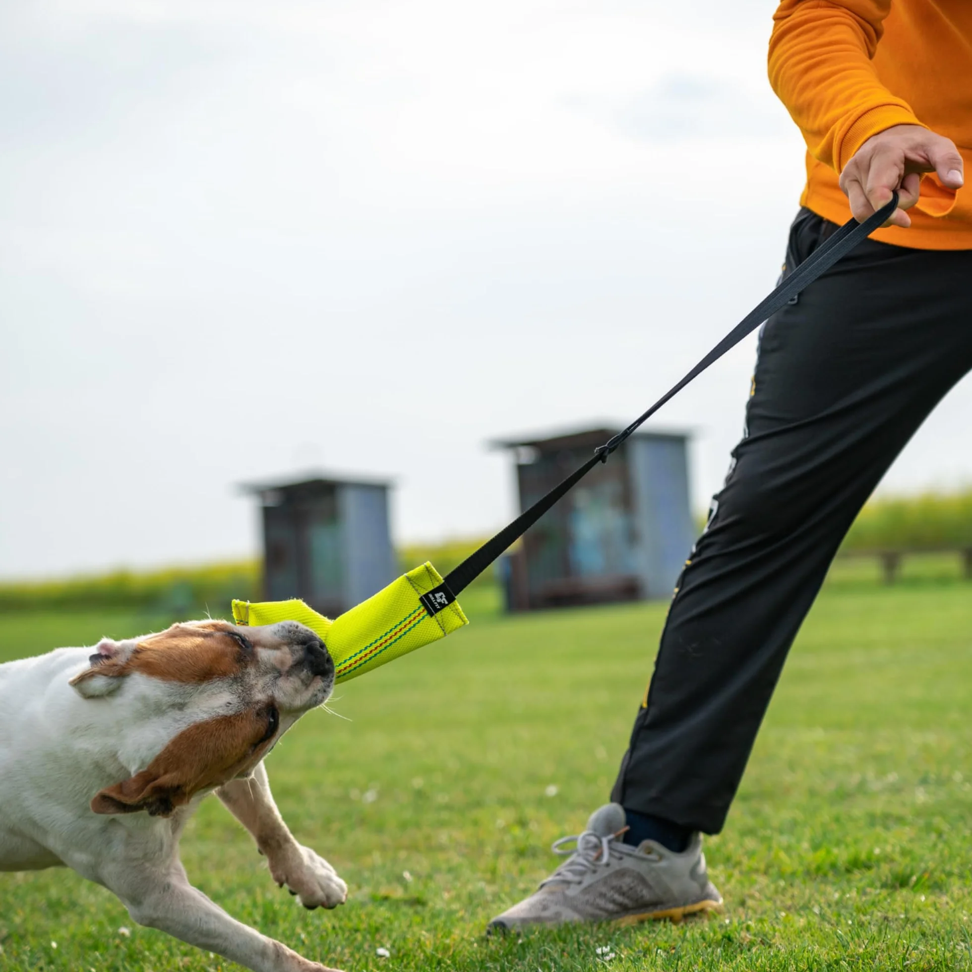 Bull Fit Bungee Boudin Jouet pour Chien 30 cm Anse Tuyaux Lance Incendie Robuste Mordant