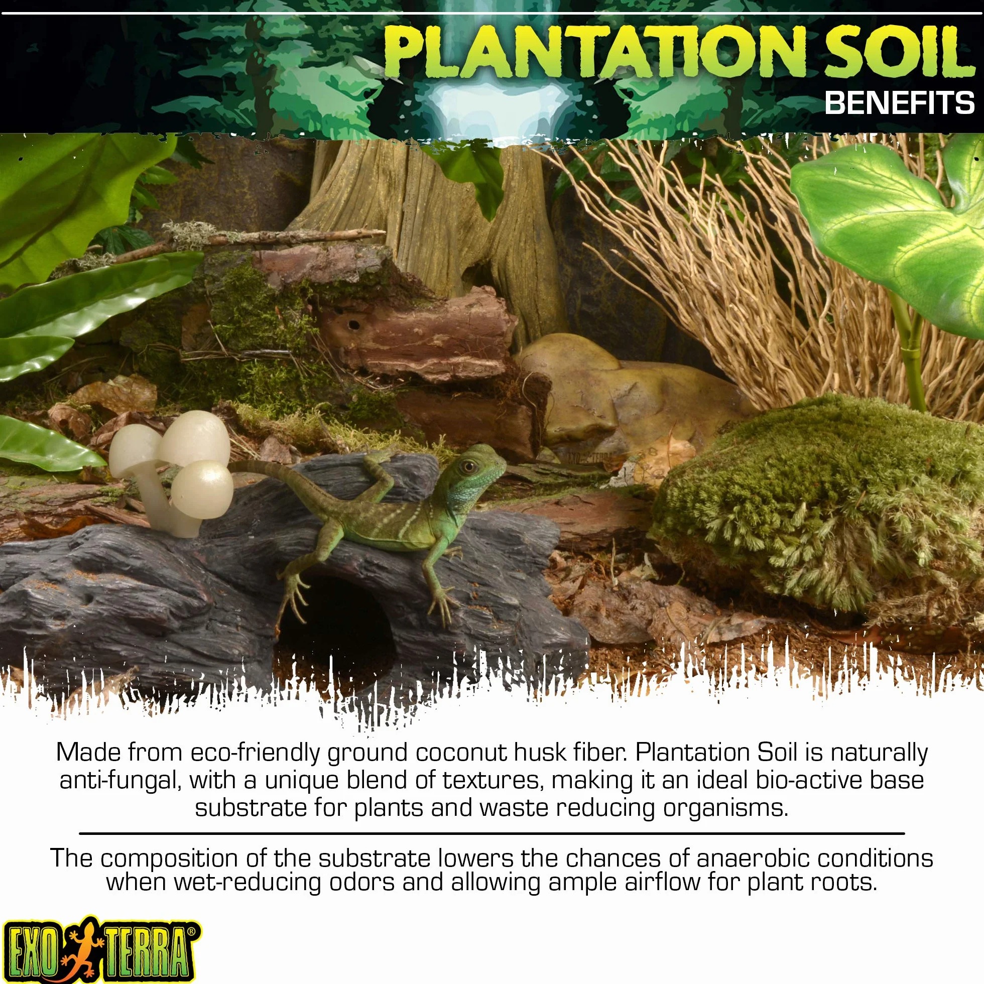 RC Hagen Exo PT2771 Plantation Terra 8 pintes 3 Pack