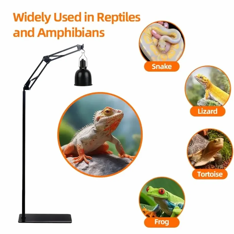 Support de lampe pour reptiles réglable rotation 360° avec socle terrarium tortue