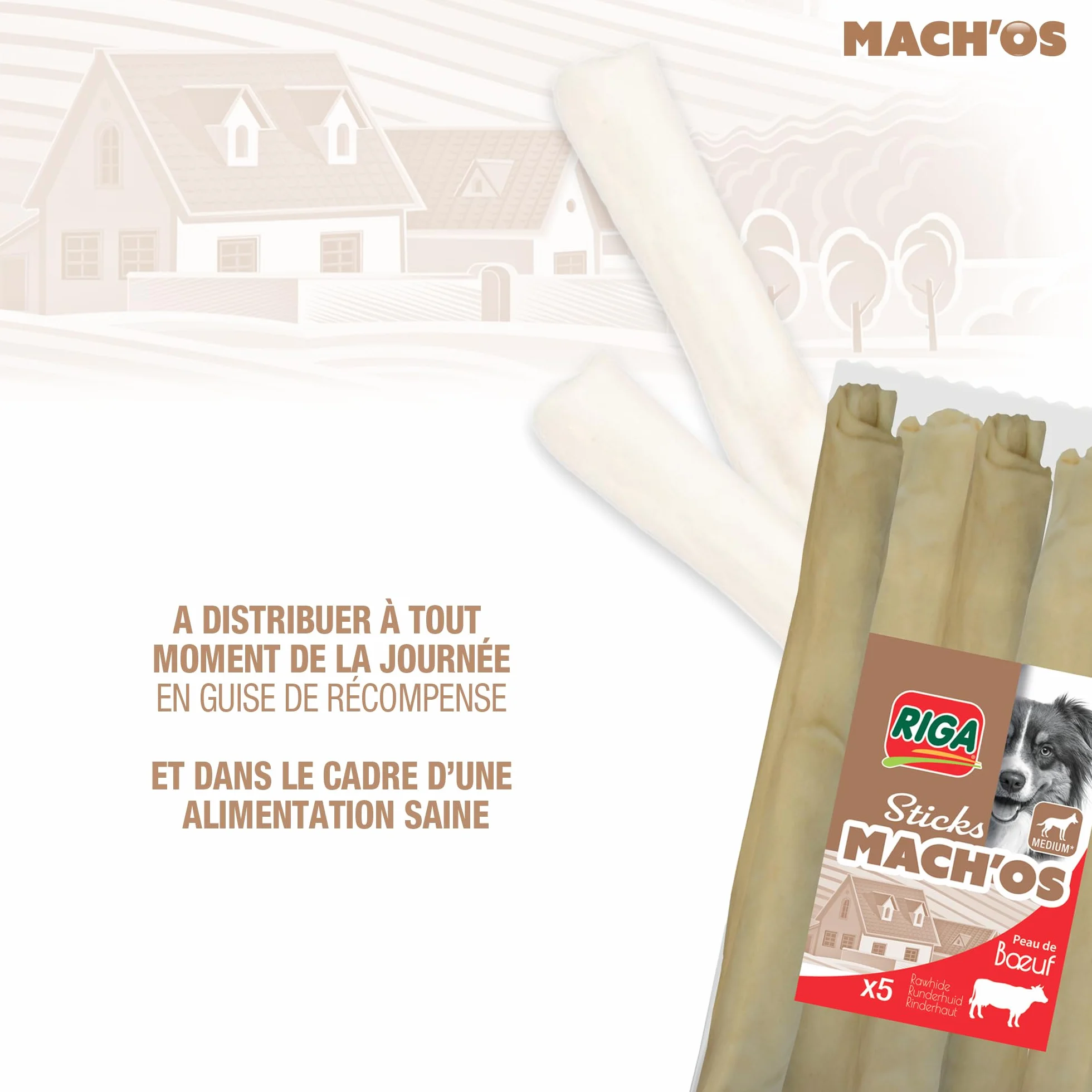 Riga - Mach'os - Barre Soufflée Blanche - Friandise pour Chien - Peau De Buffle - Riche en Protéines - Hygiène Buccale - Mastication Et Récompense - pour Moyen Chien - x 5