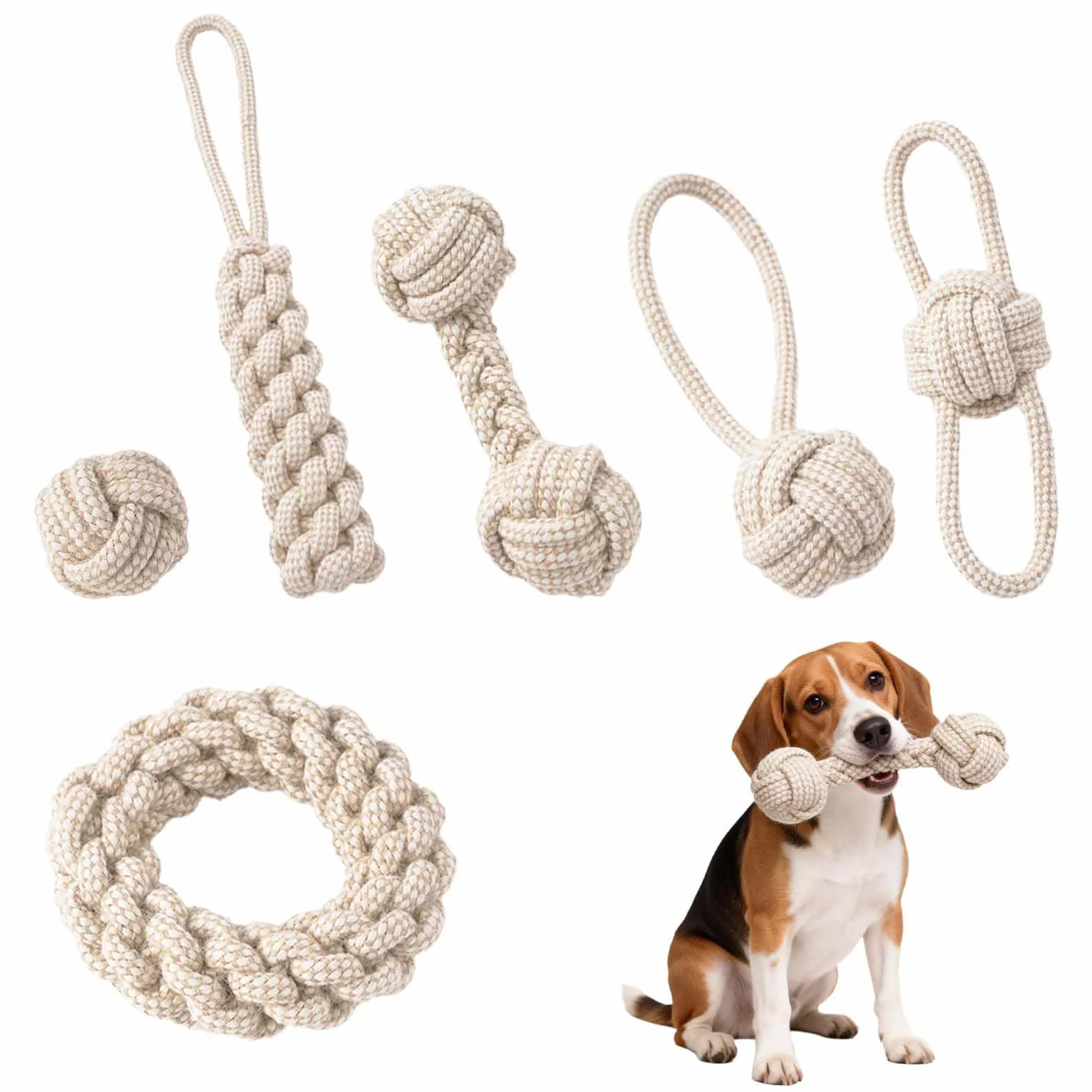 Jouet à mâcher en corde de coton pour chien, 6 pièces, interactif pour petits chiens