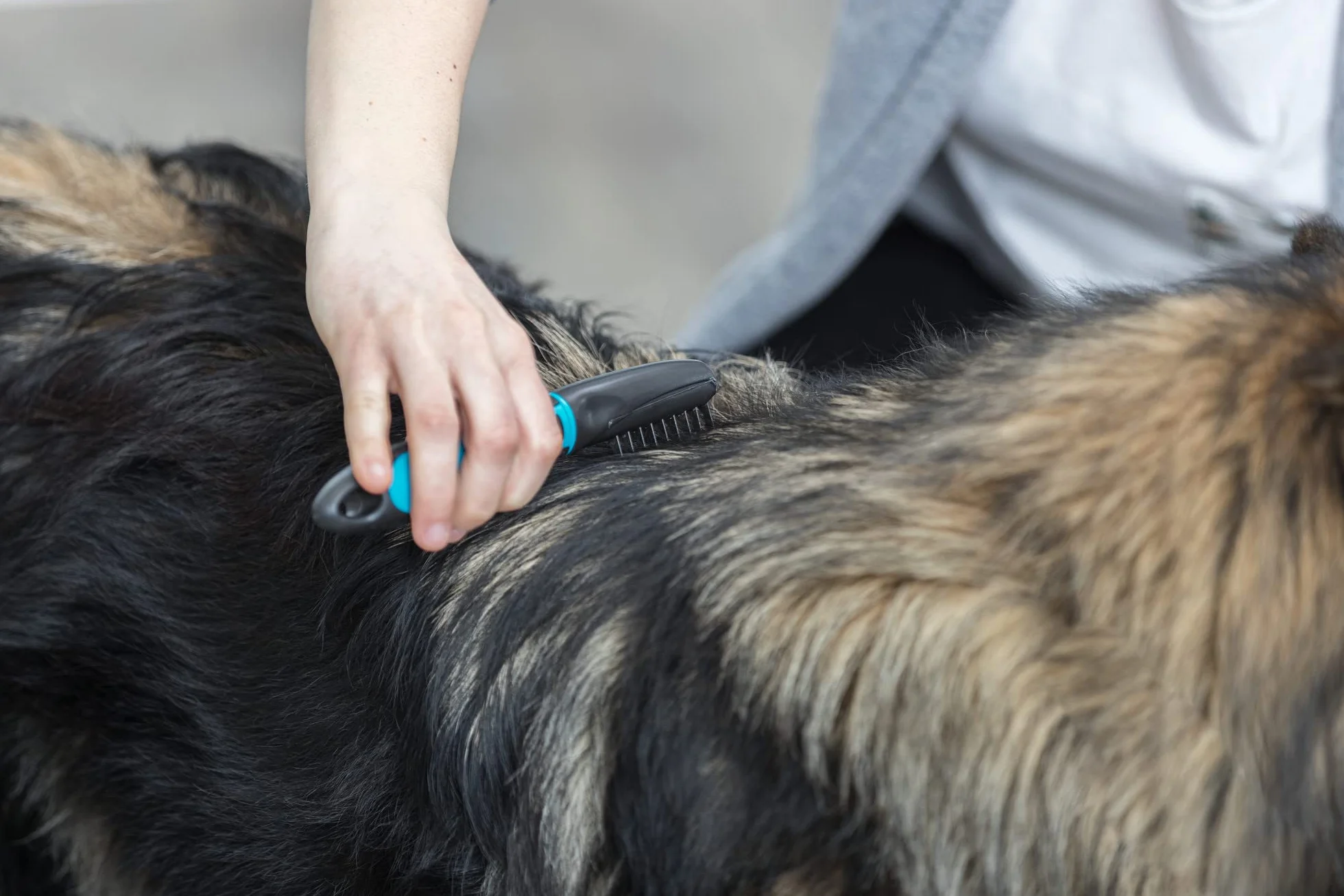 Trixie Peigne démêlant pour chien à dents courbées