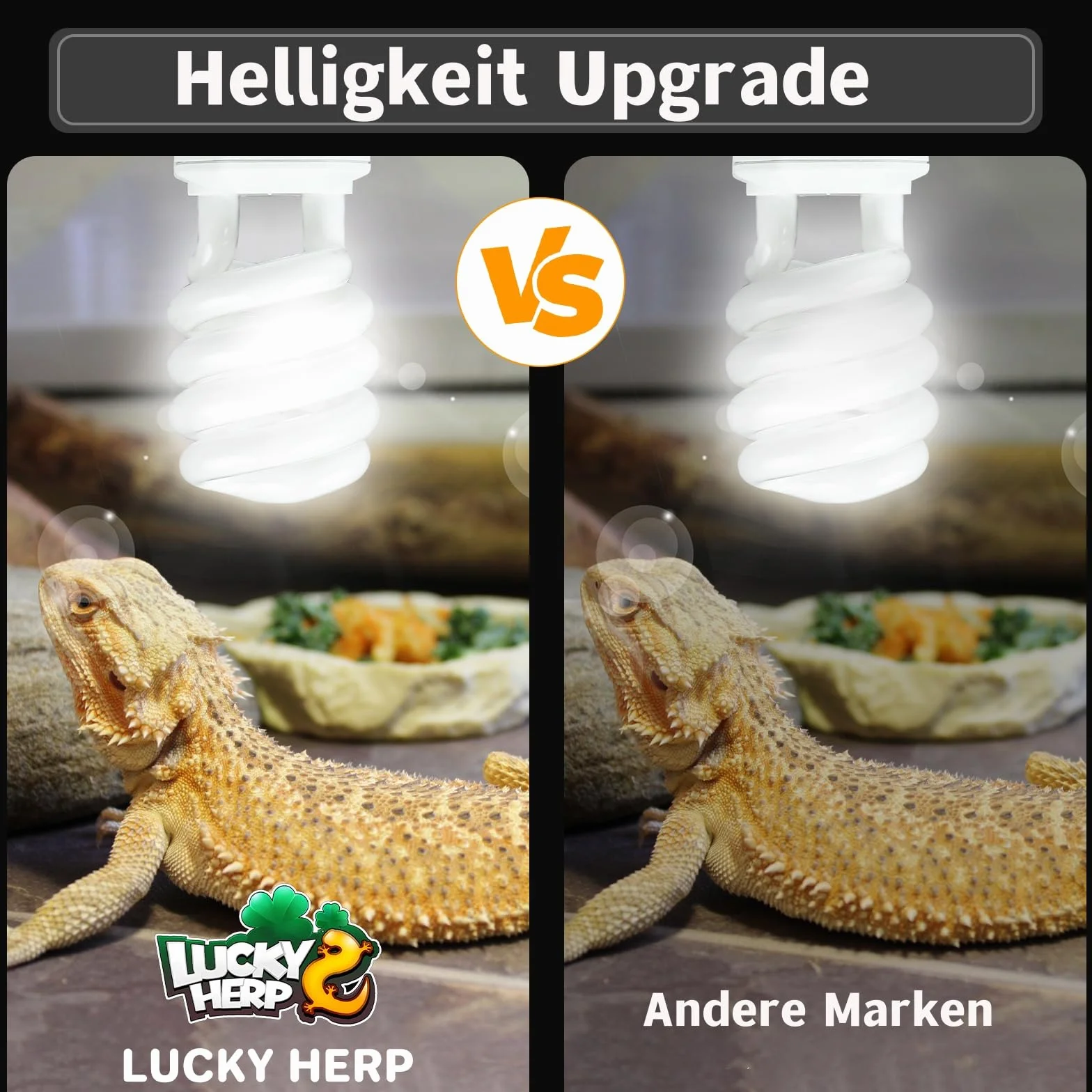 LUCKY HERP Lampe Reptile UVB 10.0 23W Ampoule UVA UVB 150 Fluorescente Compacte pour Terrarium