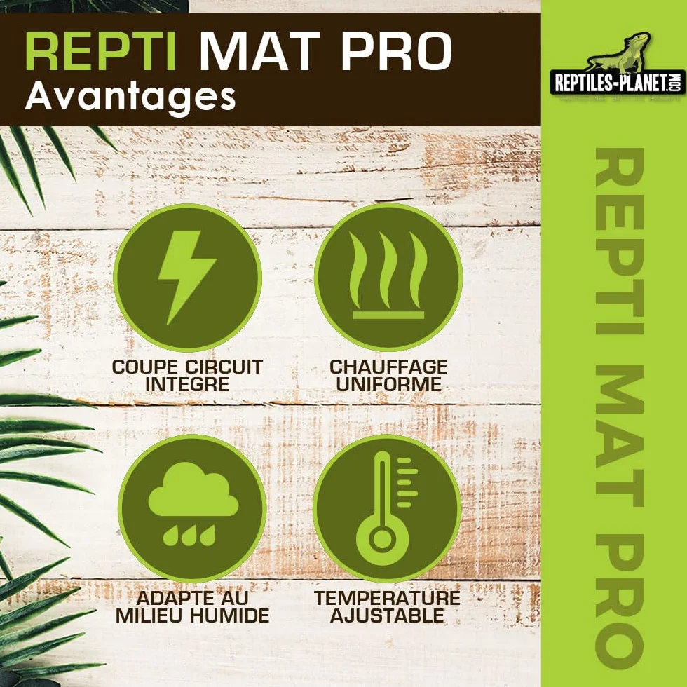 Reptiles Planet Repti Mat Pro Tapis Chauffant Terrarium Tropical 8 W 15 x 20 cm