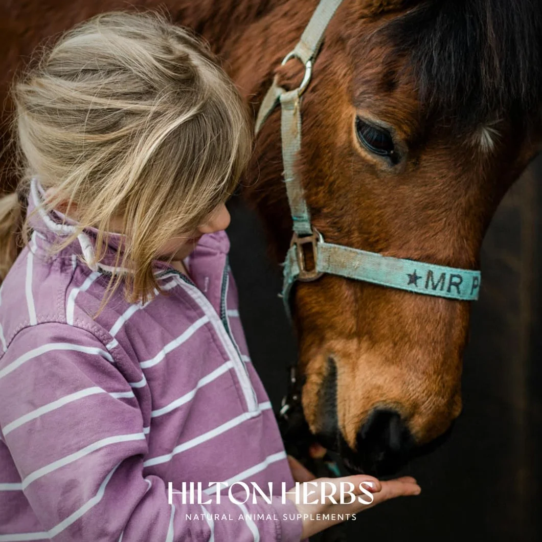 Hilton Herbs Releaf Gold 1 L Complément Alimentaire Cheval Anti Inflammatoire