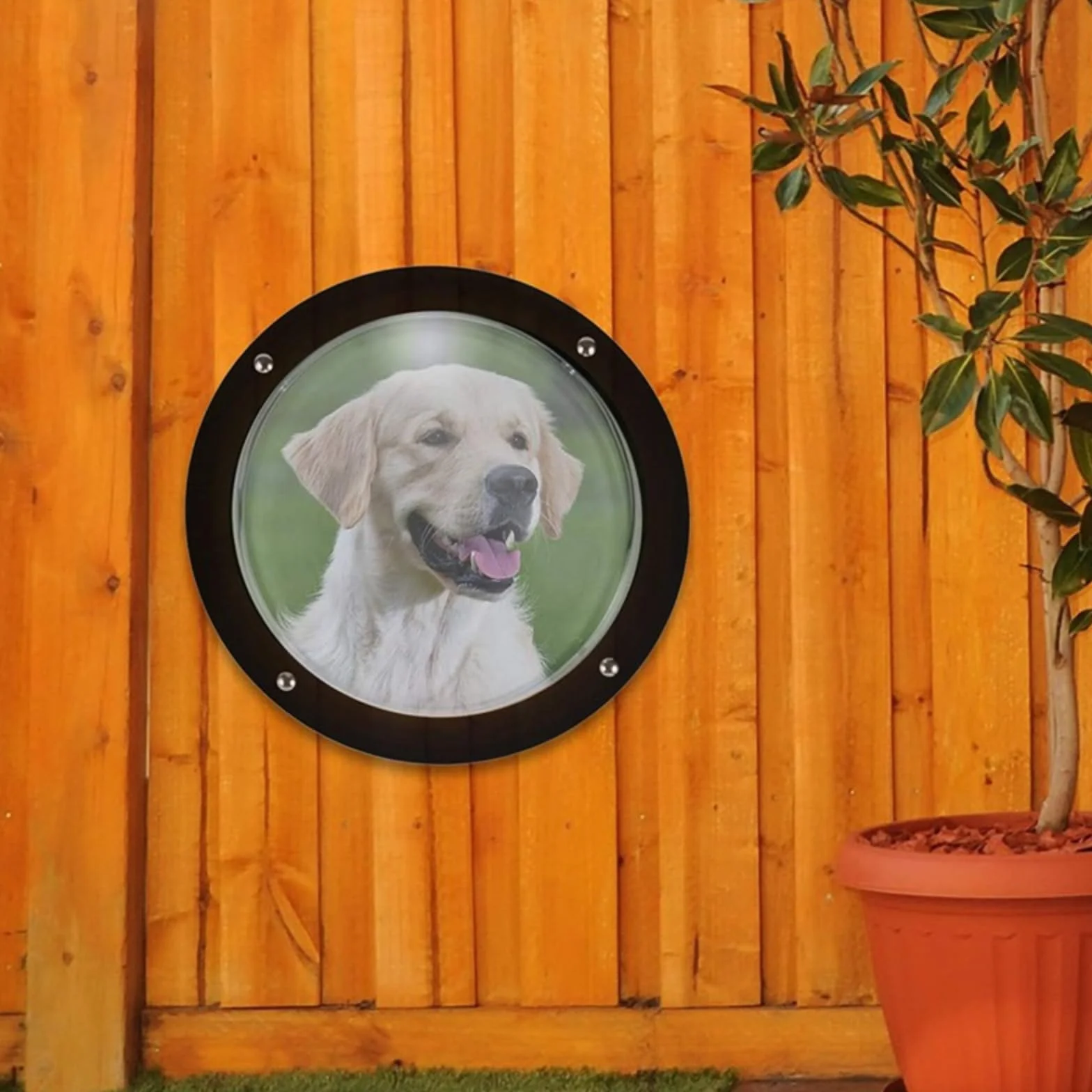 Fenêtre De Clôture Extérieure pour Chien Hublots Visibilité Bulle Judas Animaux