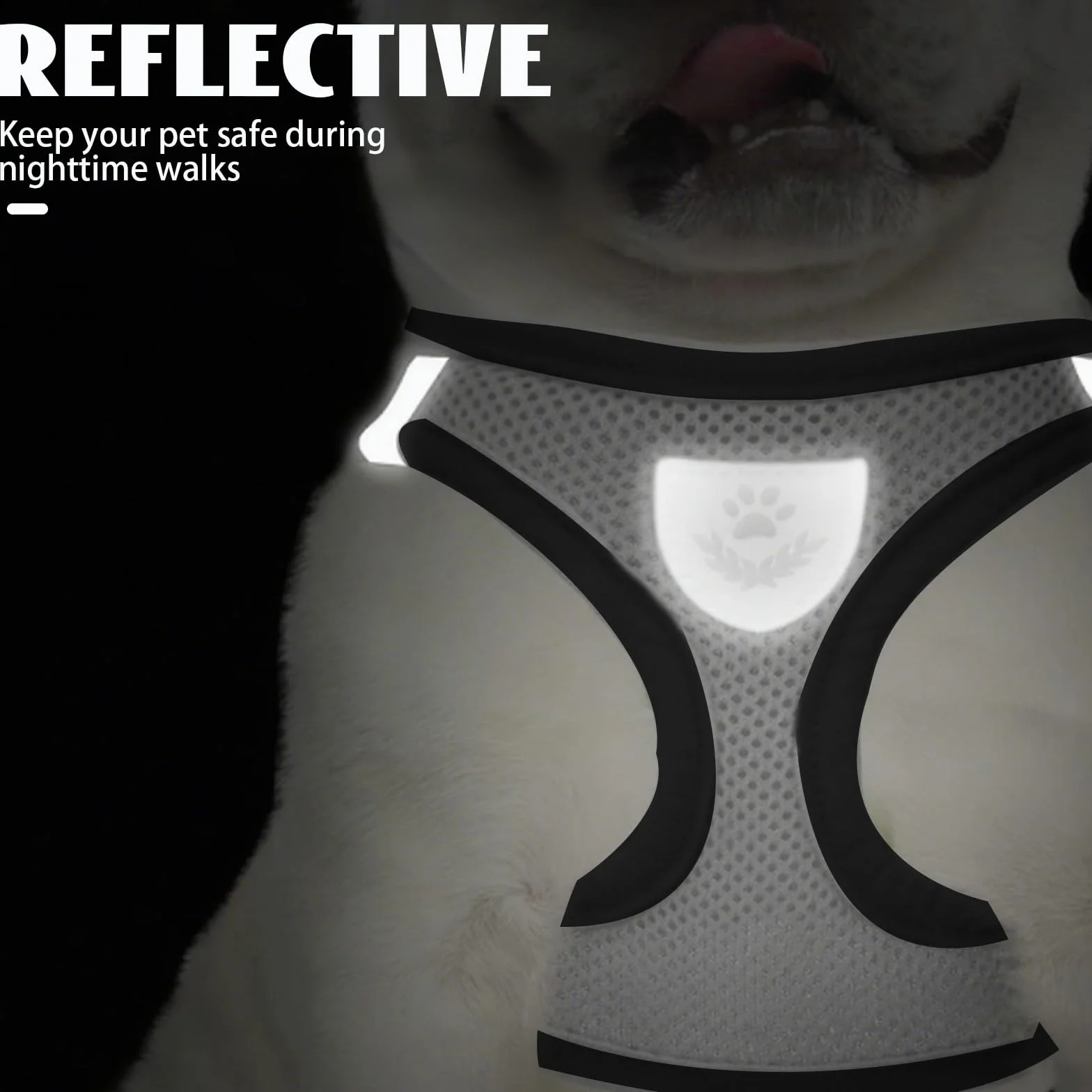 Harnais Chaton Anti Évasion Réglable Gilet Respirant pour Petit Chien, Lapin, Chat Européen, Maine Coon et Persan