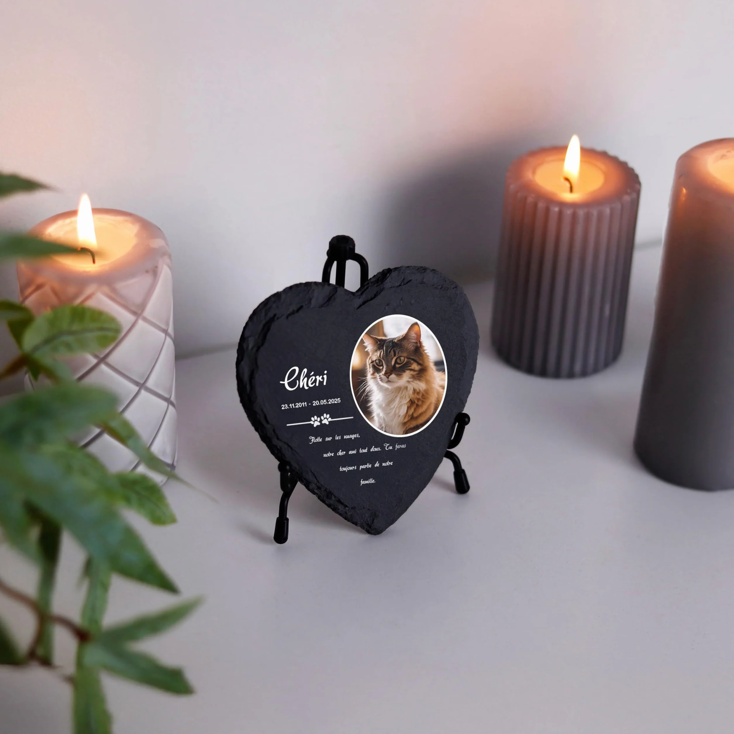 Plaque funéraire personnalisée pour Chien et Chat - Ardoise gravée Pierre tombale Animaux