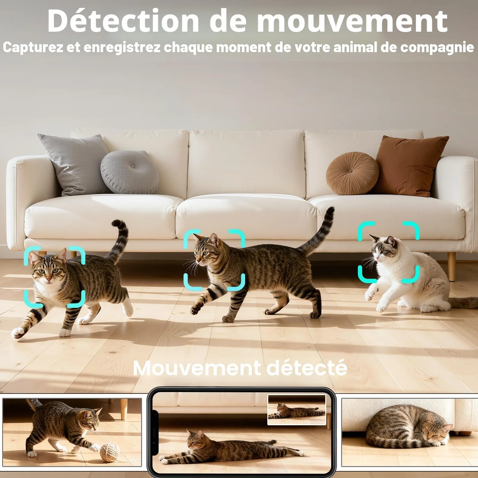 Distributeur Croquettes Chat Automatique avec Caméra 2K HD Vision Nocturne WiFi 2.4G/5G Contrôle App Double Alimentation Réservoir 5L 4L