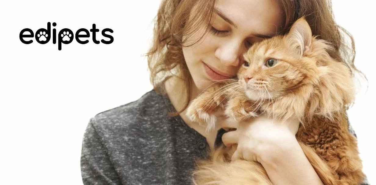 Gamelle Chat Double Réglable avec Support Surélevé Transparent Edipets