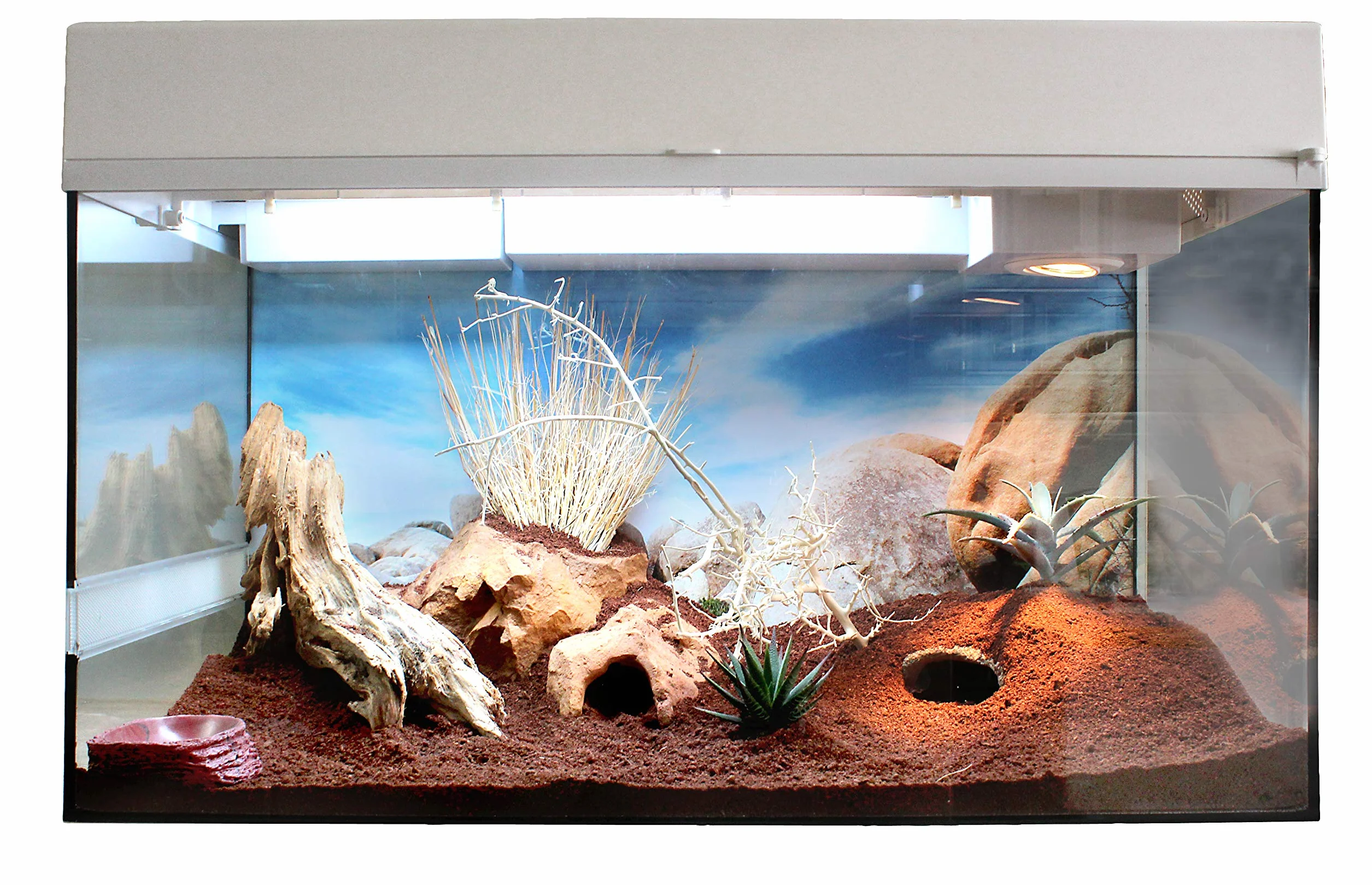 Lucky Reptile Substrat pour Vivarium désertique