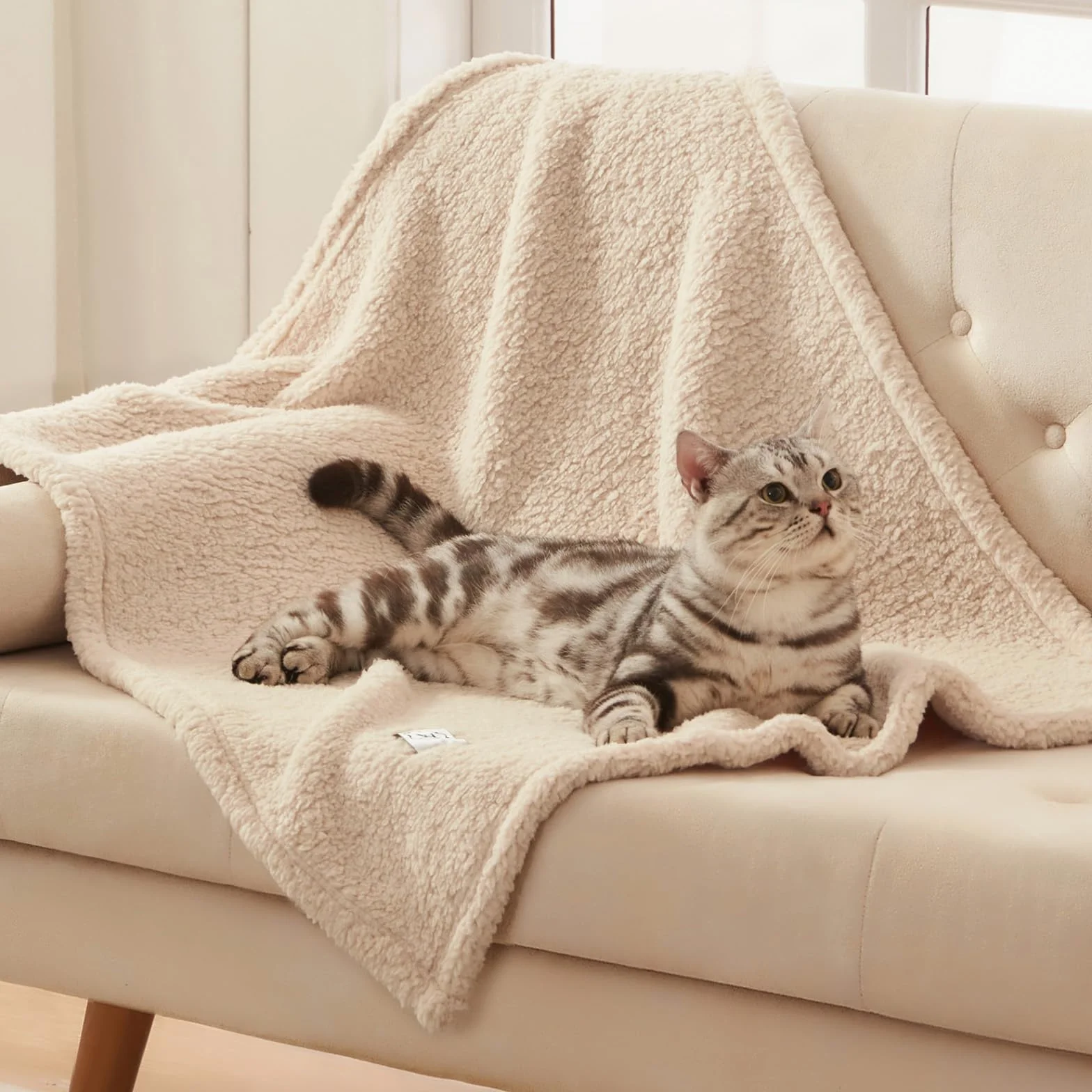 Luciphia 3 Pièces Couverture en Peluche Tapis Lit pour Chiens Chat Lapins Beige L 76 x 104 cm
