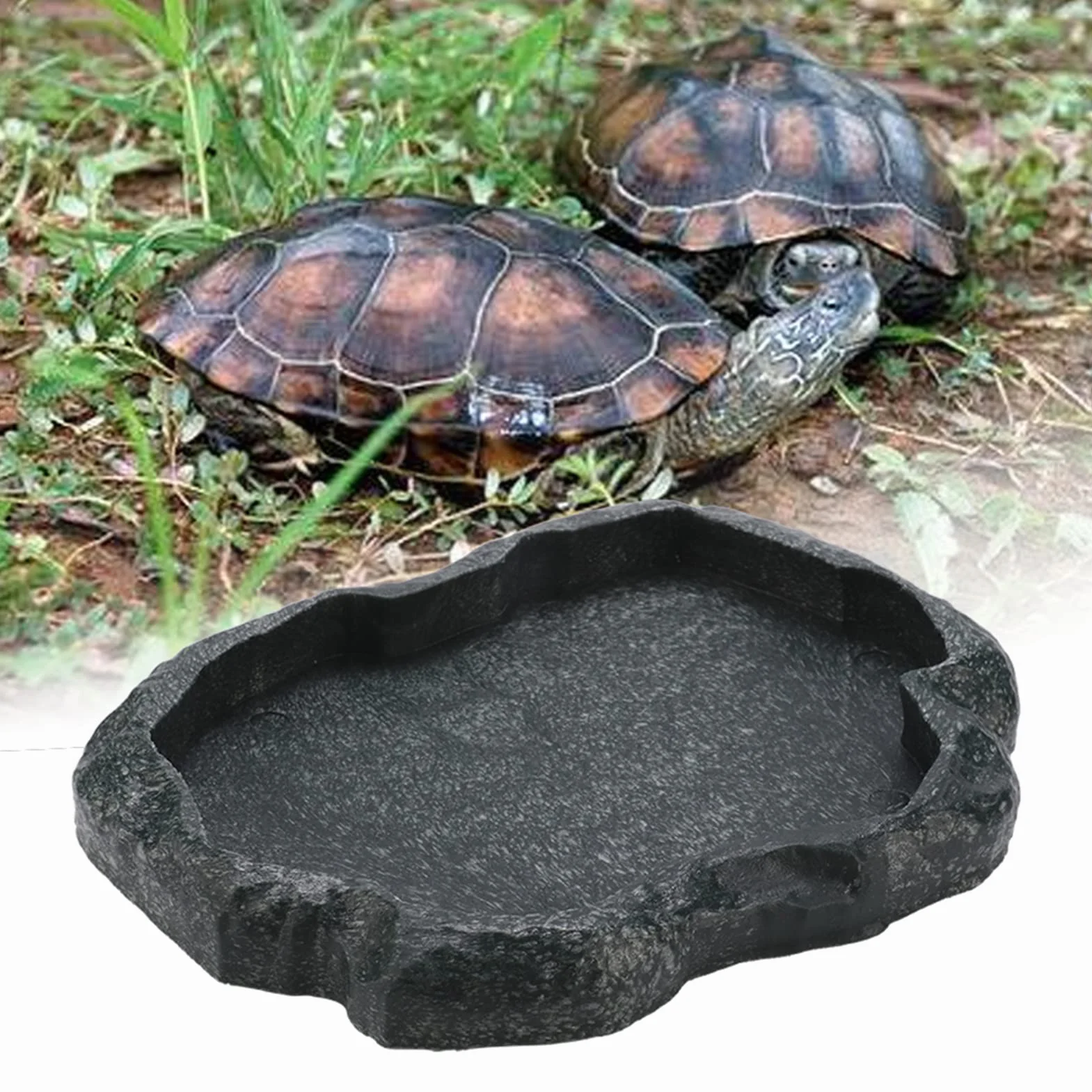 Bol d'alimentation en Résine pour Reptiles Yosoo, Décor de Terrarium pour Tortue Lézard (M)