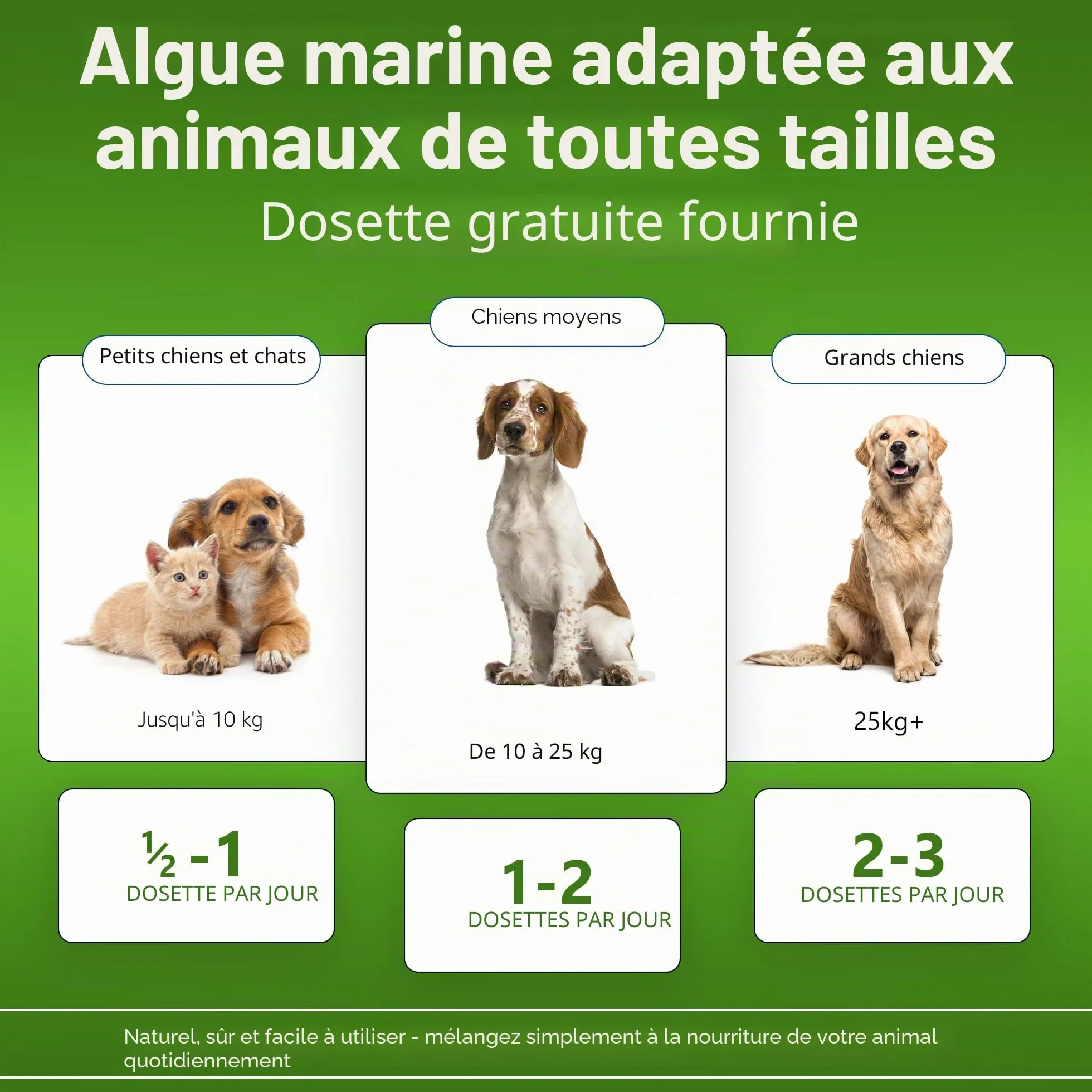 Plaque Out Pot 450 g – Détachant de plaque pour chiens et chats – Poudre d'algues 100 % naturelle et biologique
