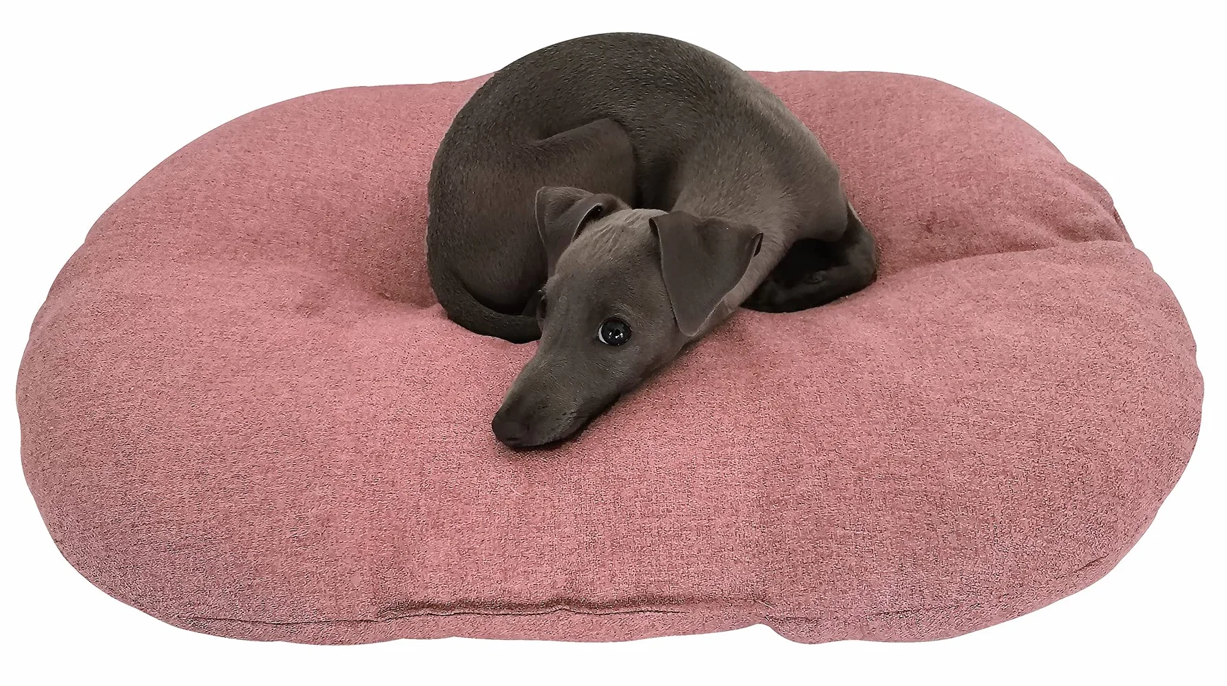 Croci Hydro Coussin pour Chien Ovale Imperméable 102 x 67 cm Bleu
