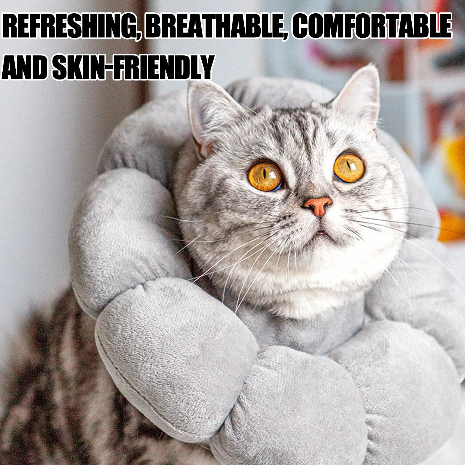 Doux et Confortable Ajustable Collier de Protection pour Chats et Chiots, Anti-Fuite, Prévention des Infections