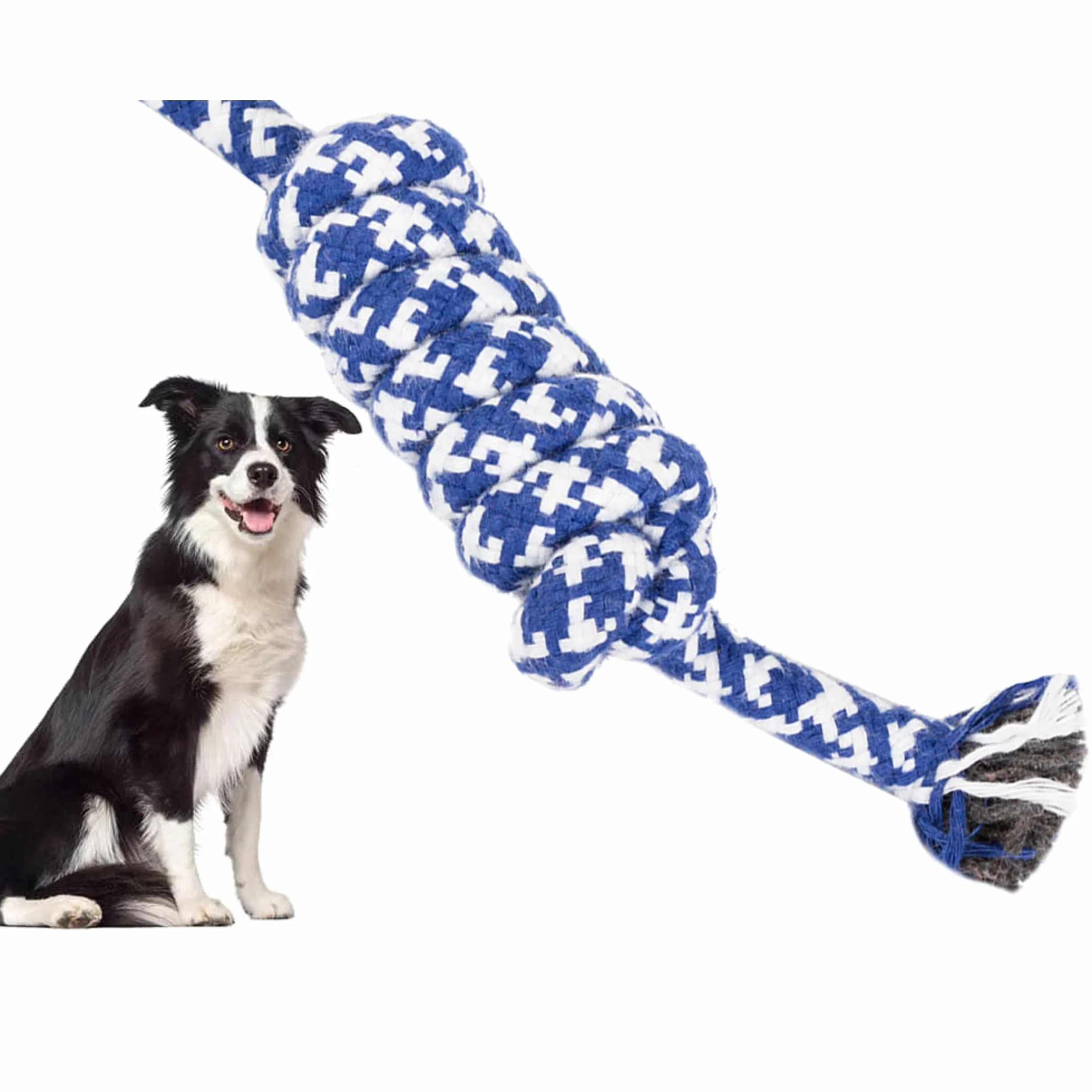 PARENCE Jouet Corde Tressée pour Chien 40 cm Ultra Résistant Poignée 10 cm