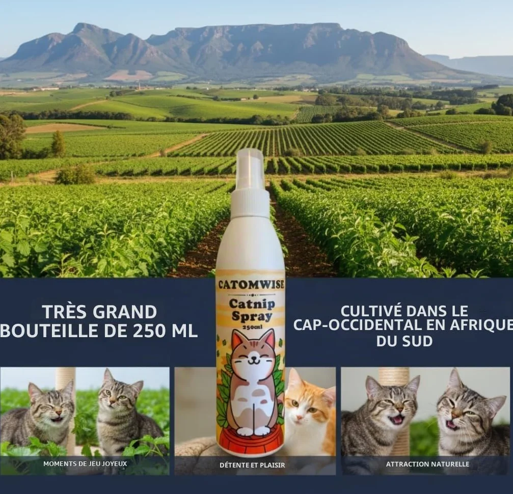 Spray d'herbe à chat Catomwise | Naturel, durable et sûr pour jouets et griffoirs