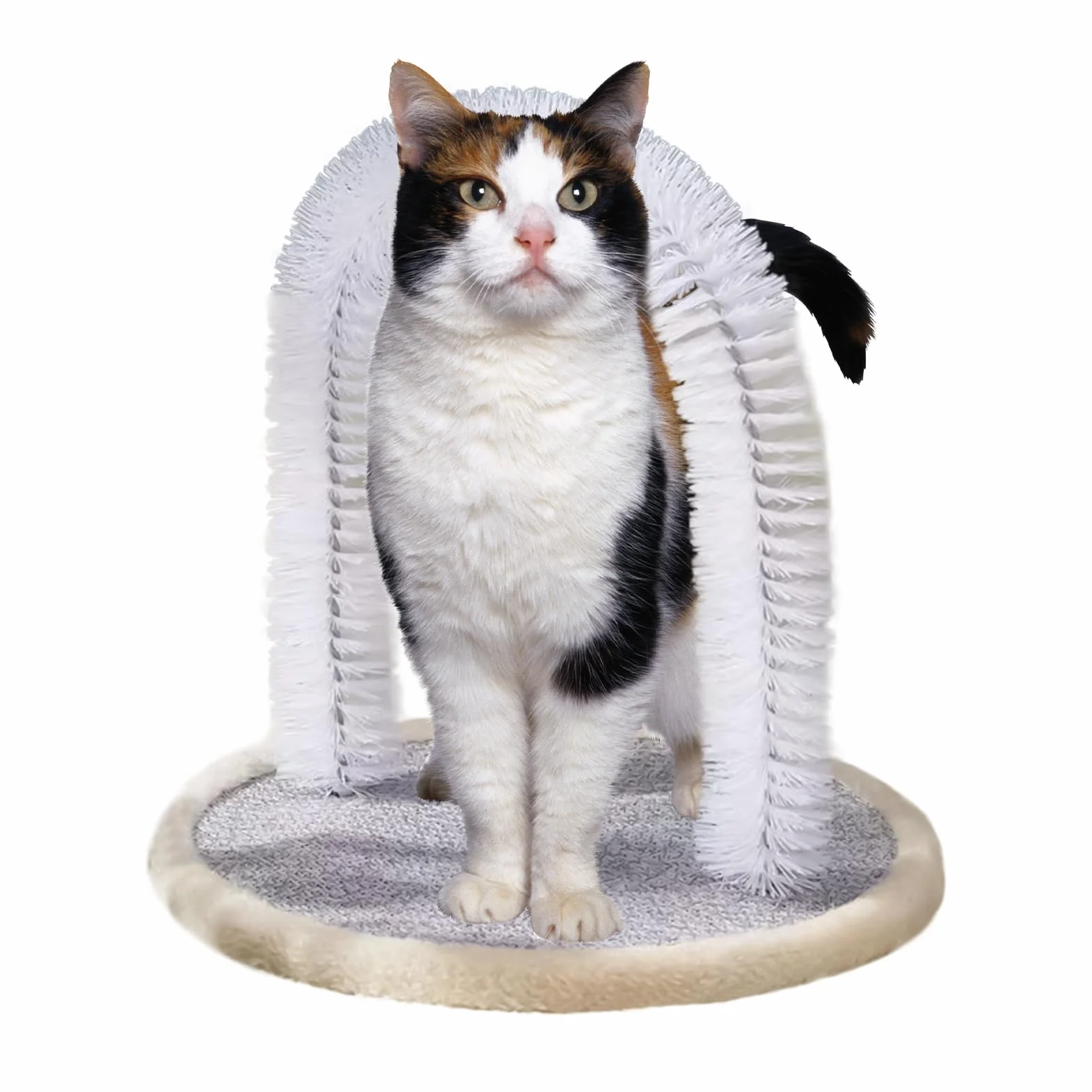 Brosse Autogrooming Pour Chat Avec Coussin Grattatoire Résistants aux Morsures Accessoires Toutes Tailles