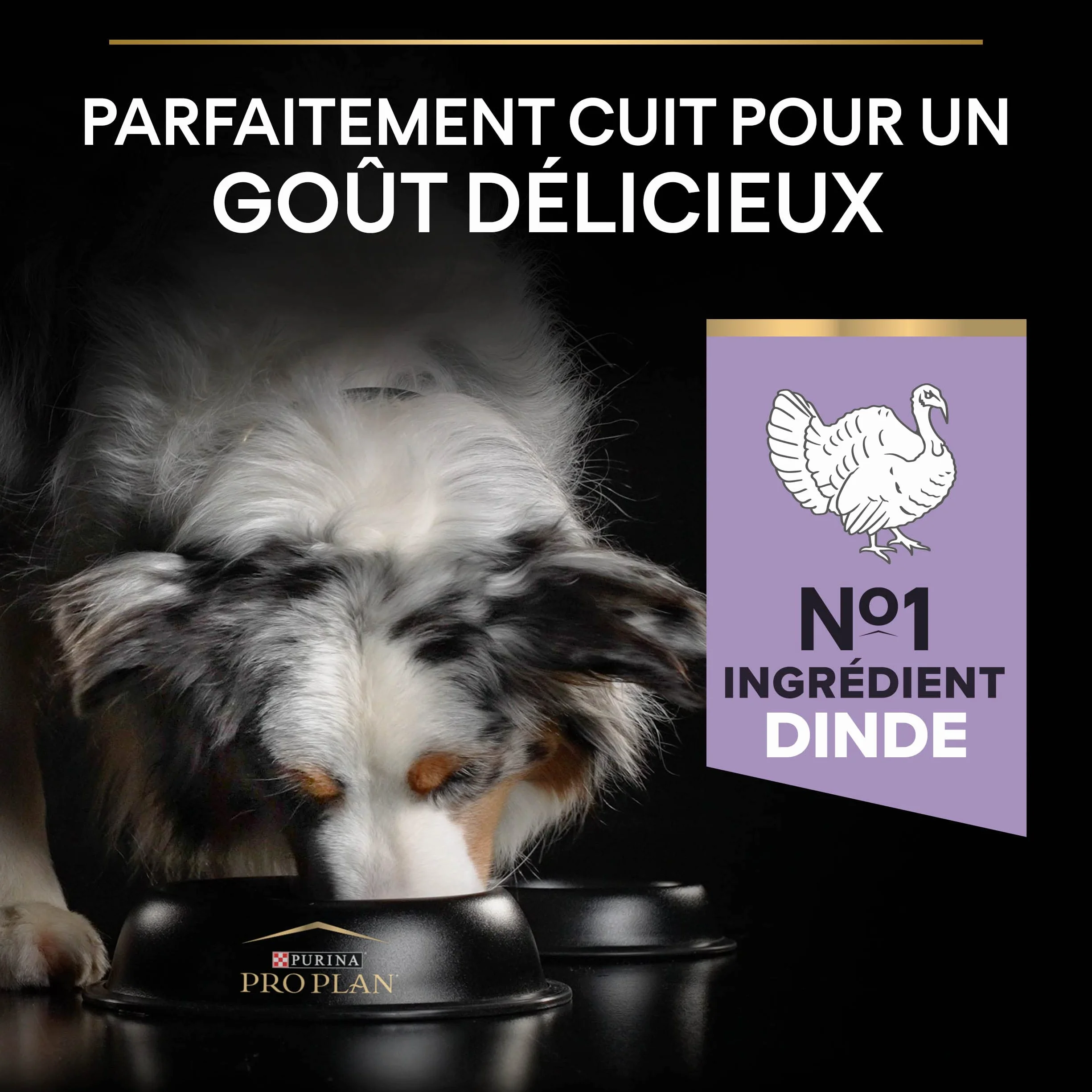 PURINA PRO PLAN Croquettes sans céréales pour chien adulte grande taille Digestion Sensible Dinde 12kg