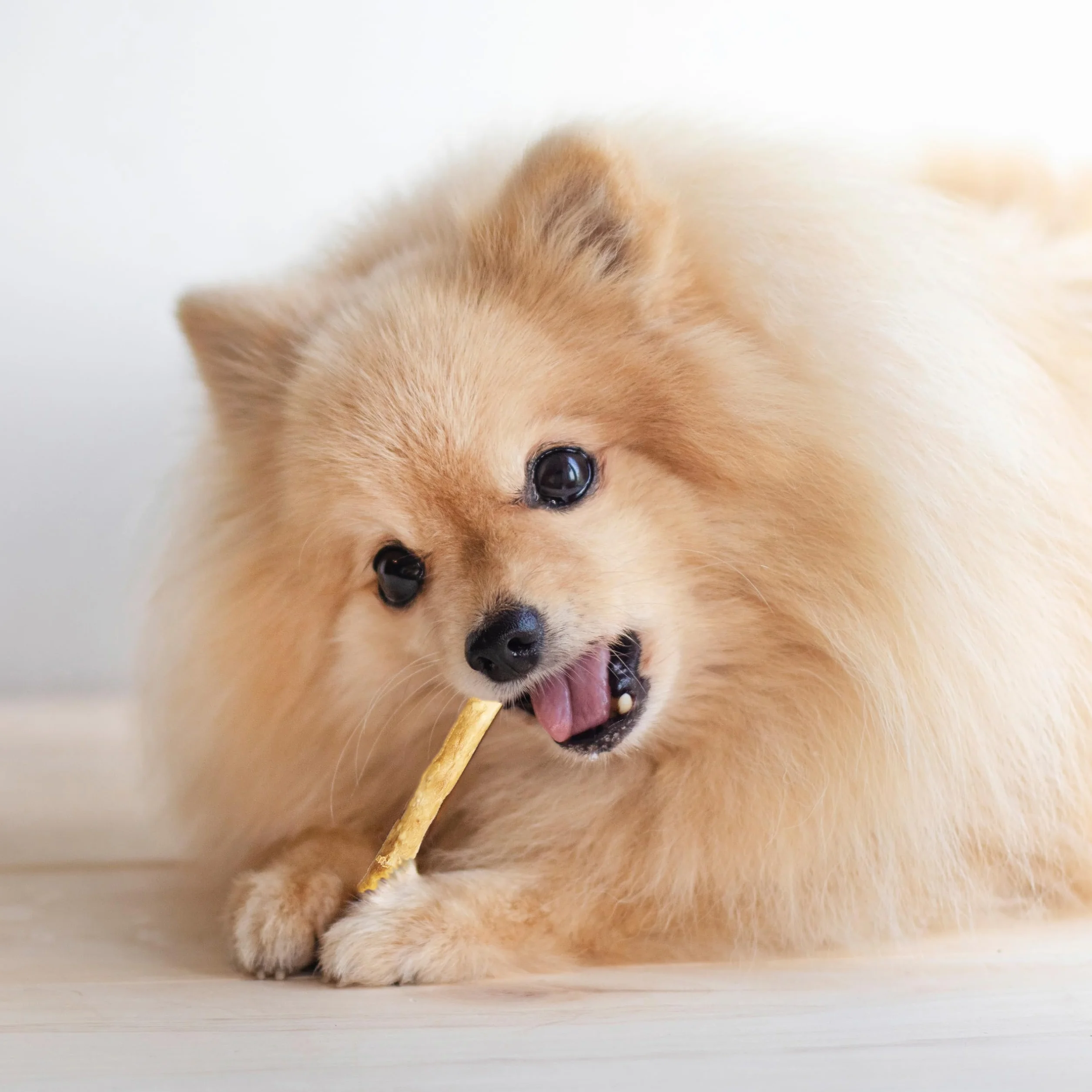 TWIST STIX au Bœuf