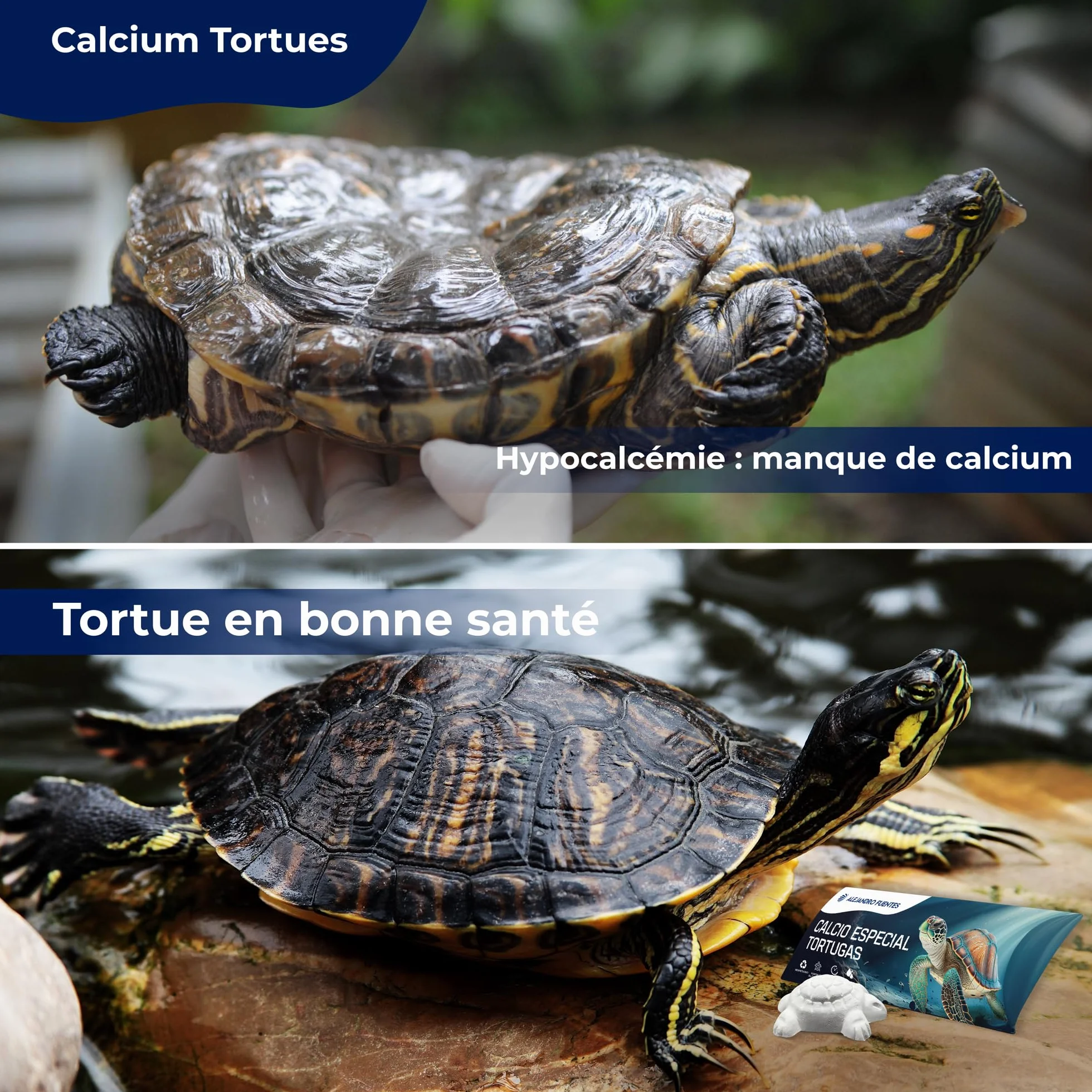 AF® Os de Seiche Tortue Alternatif, Pack 4 Pièces Calcium Tortue Terrestre et Aquatique, Bloc Minéral Libération Lente, Carapace Forte et Eau Propre, Formule Vitaminée Naturelle