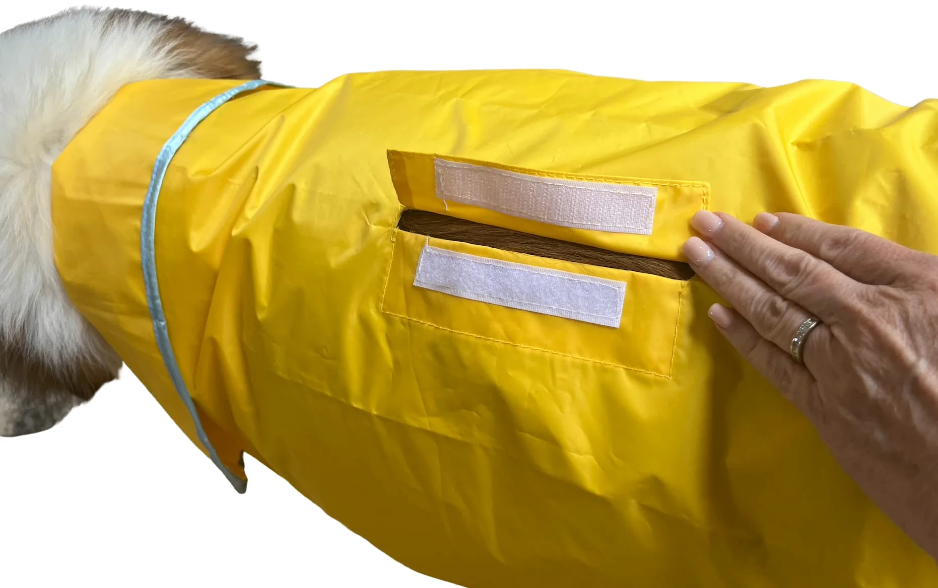Huge Hounds HugeHounds Manteau de Pluie imperméable pour Chien Taille XL
