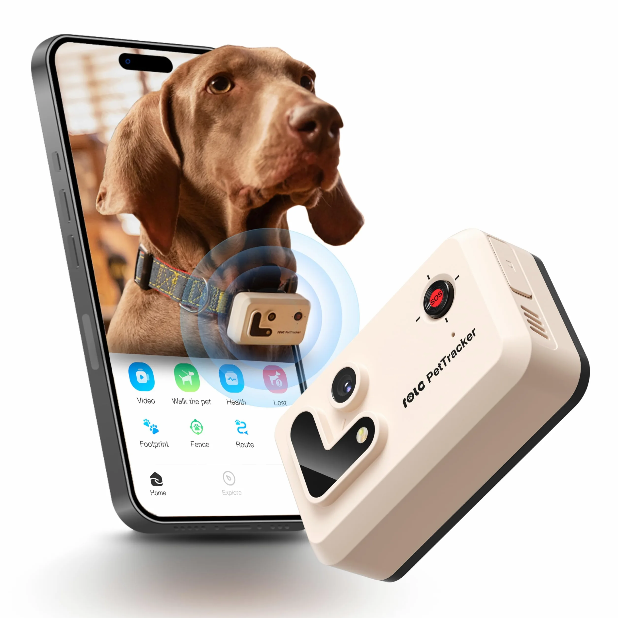 ROLA PetTracker | GPS pour chiens - Localisateur pour chiens avec GPS - Tracker d'activité - Couleur Blanc