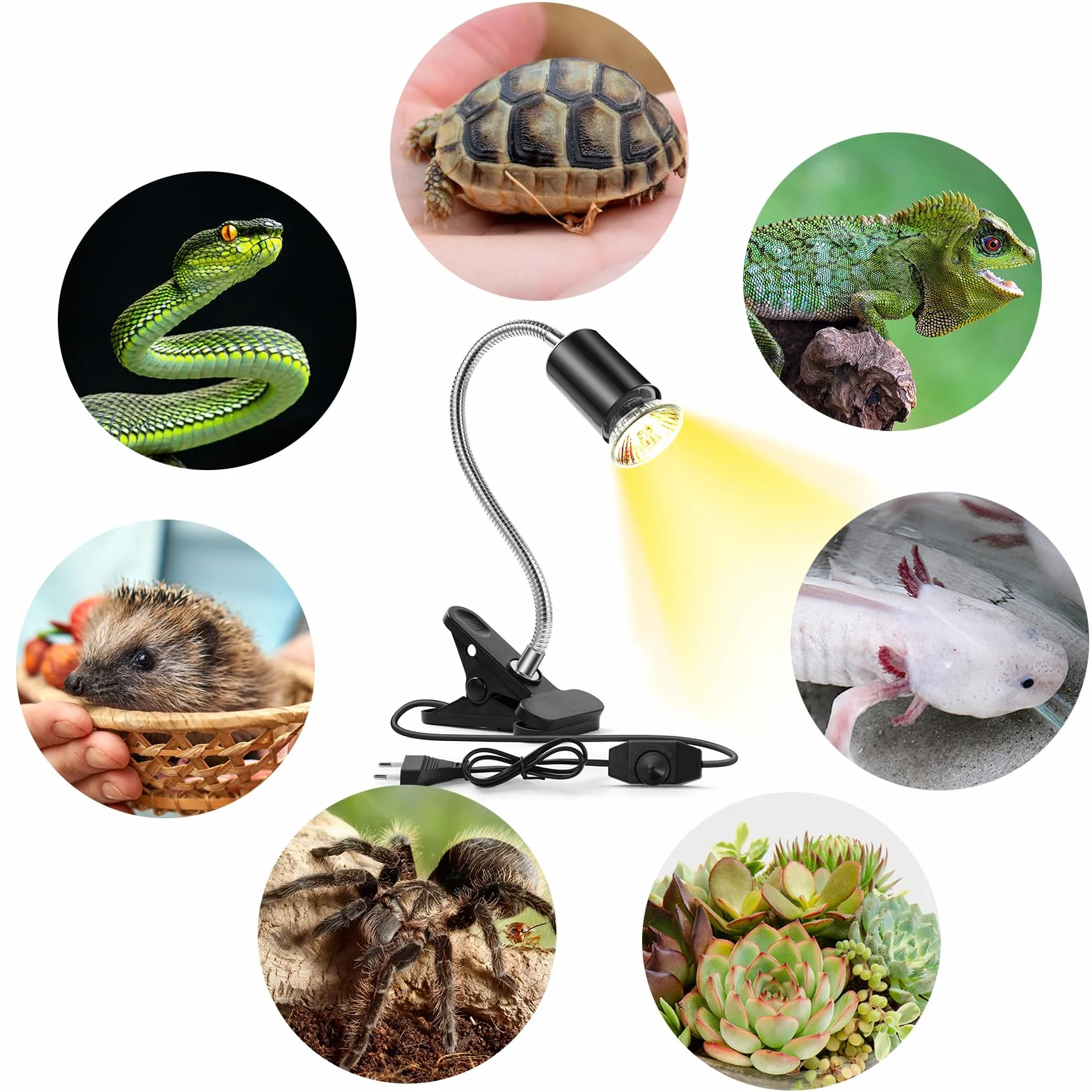 Lampe Chauffante Reptiles 2 Ampoules E27 50W UVA/UVB Pince Rotative 360°