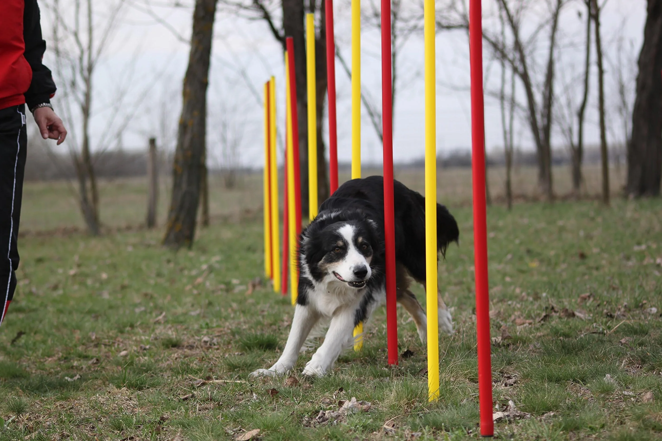 Kit piquets de slalom AGILITY SLALOM rouge/jaune ronds flexibles