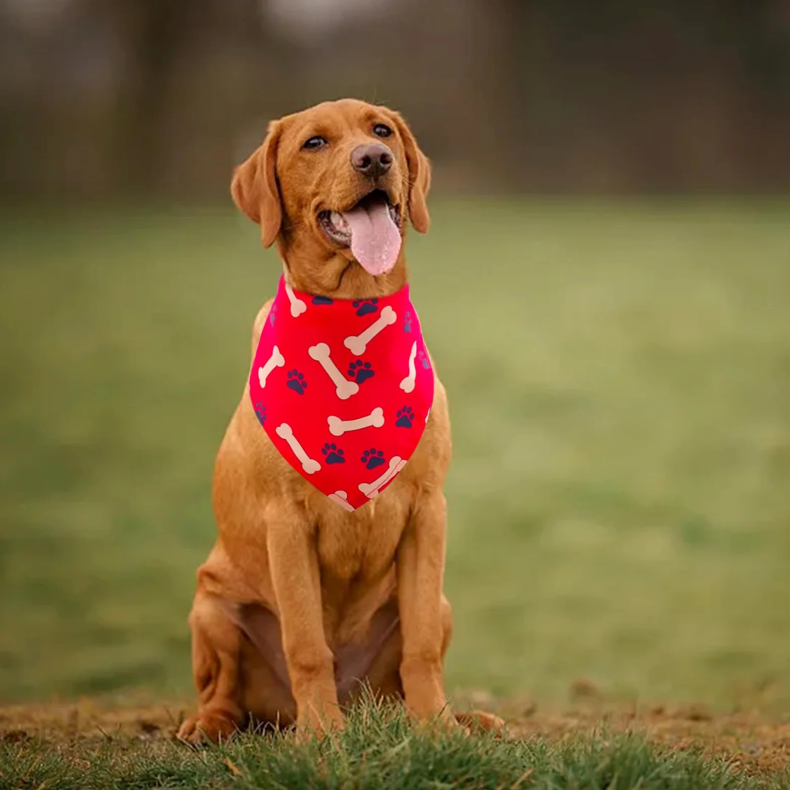 Lot de 30 bandanas réglables en vrac pour chiens de taille moyenne et très grande - Pour fête d'anniversaire, mariage, vacances, bavoirs triangulaires pour animaux domestiques - Accessoires