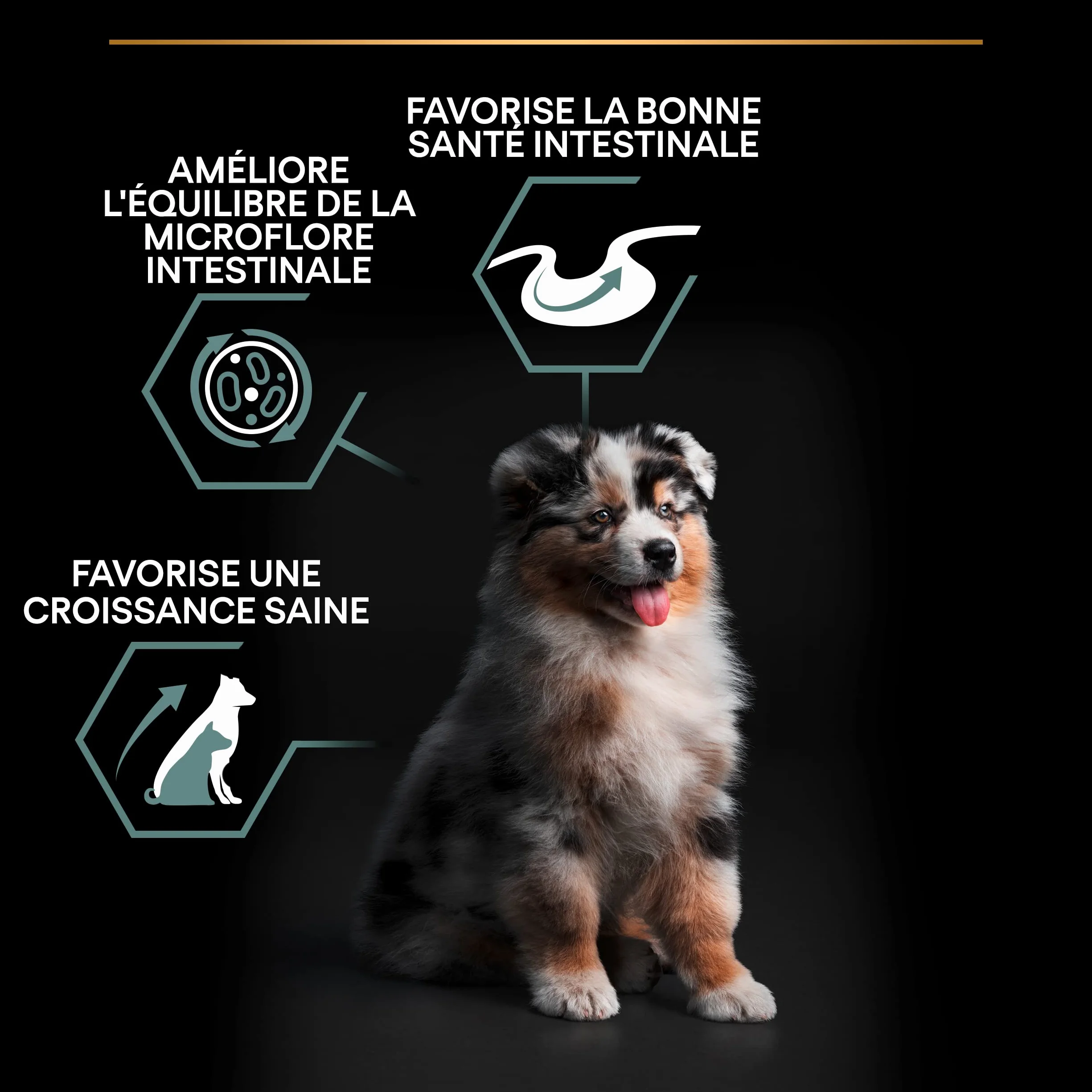 PURINA PRO PLAN Croquettes chiot moyenne taille Sensitive Digestion Agneau 3 kg