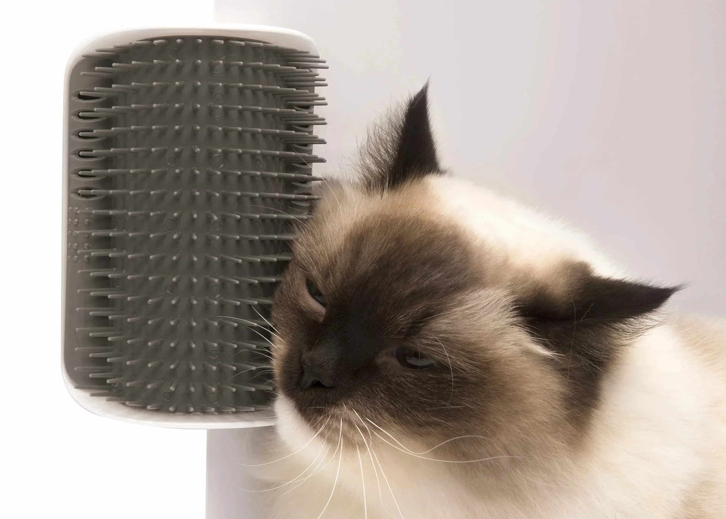 Catit Senses Brosse Auto Toiletteur pour Chat