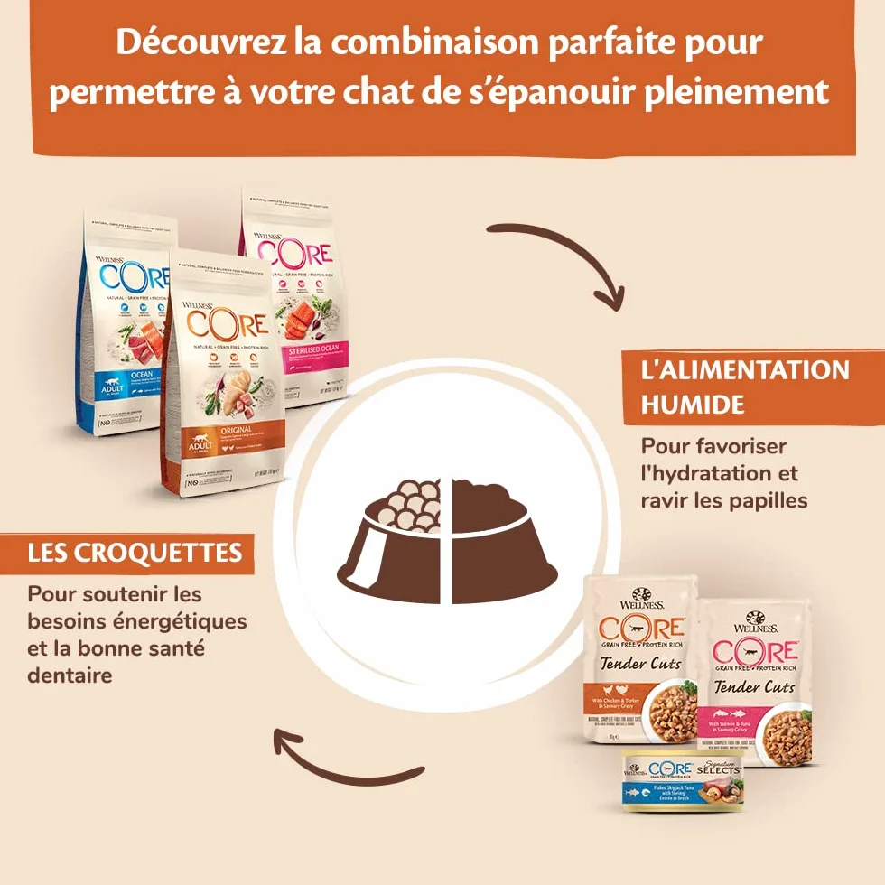 Wellness CORE Original Stérilisé Croquettes pour Chats Stérilisés sans Céréales 4 kg Poulet Dinde