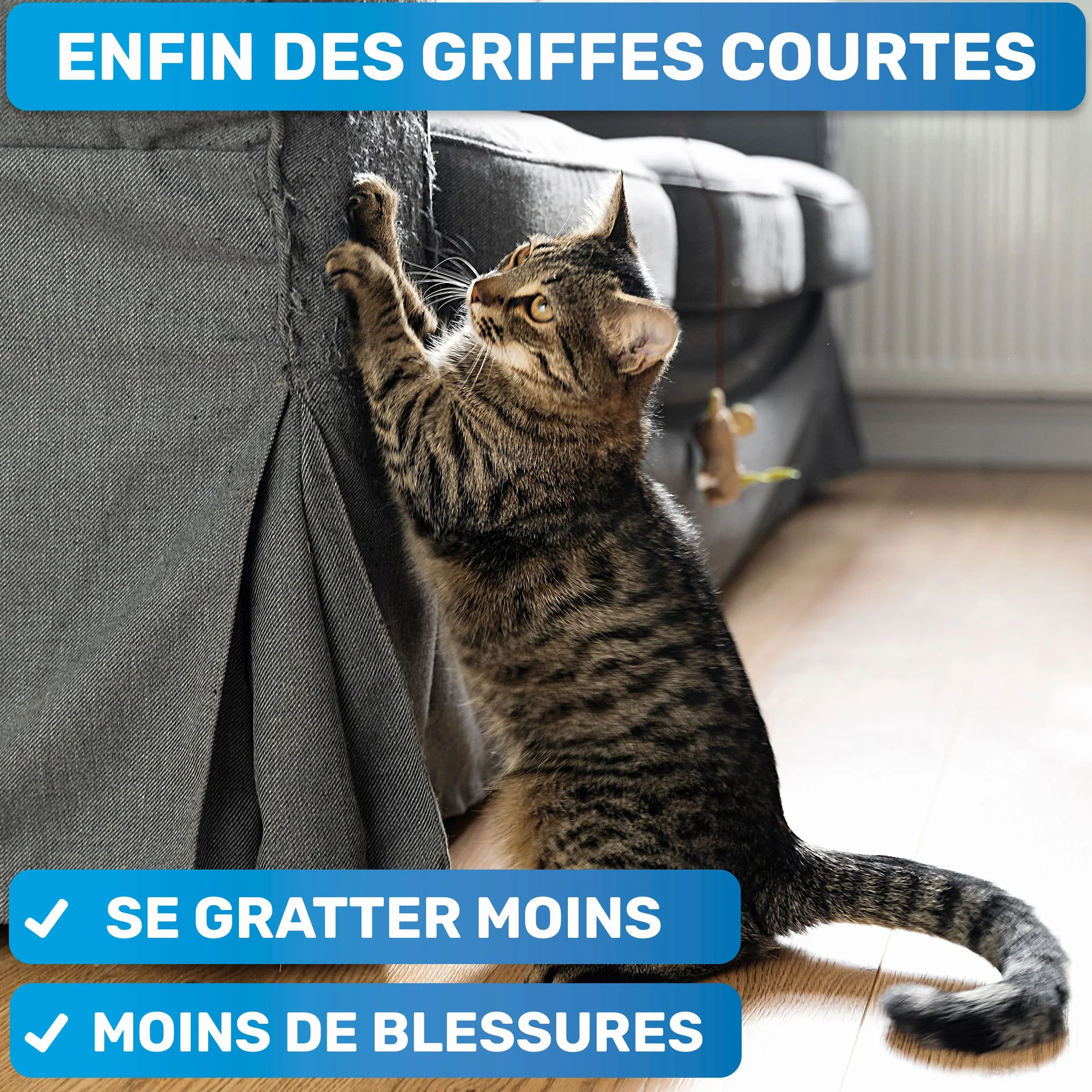 BluePet Coupe Griffes Chat et Chien & Lapin, Coupe-Ongle Mini Pour Rongeur, Pince Griffe Chats & Chiens Petits
