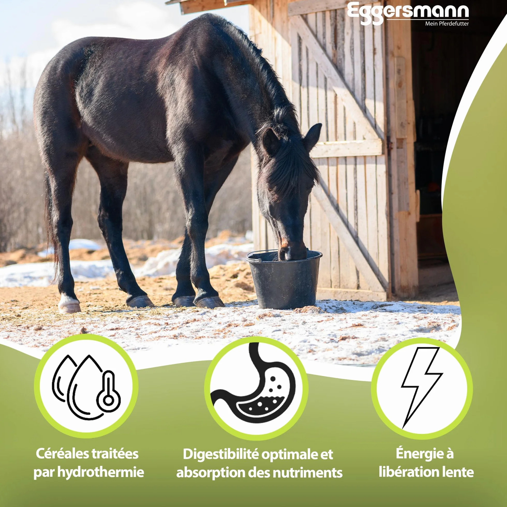 Eggersmann Flocons d'orge 15 kg aliment chevaux poneys poules petits animaux